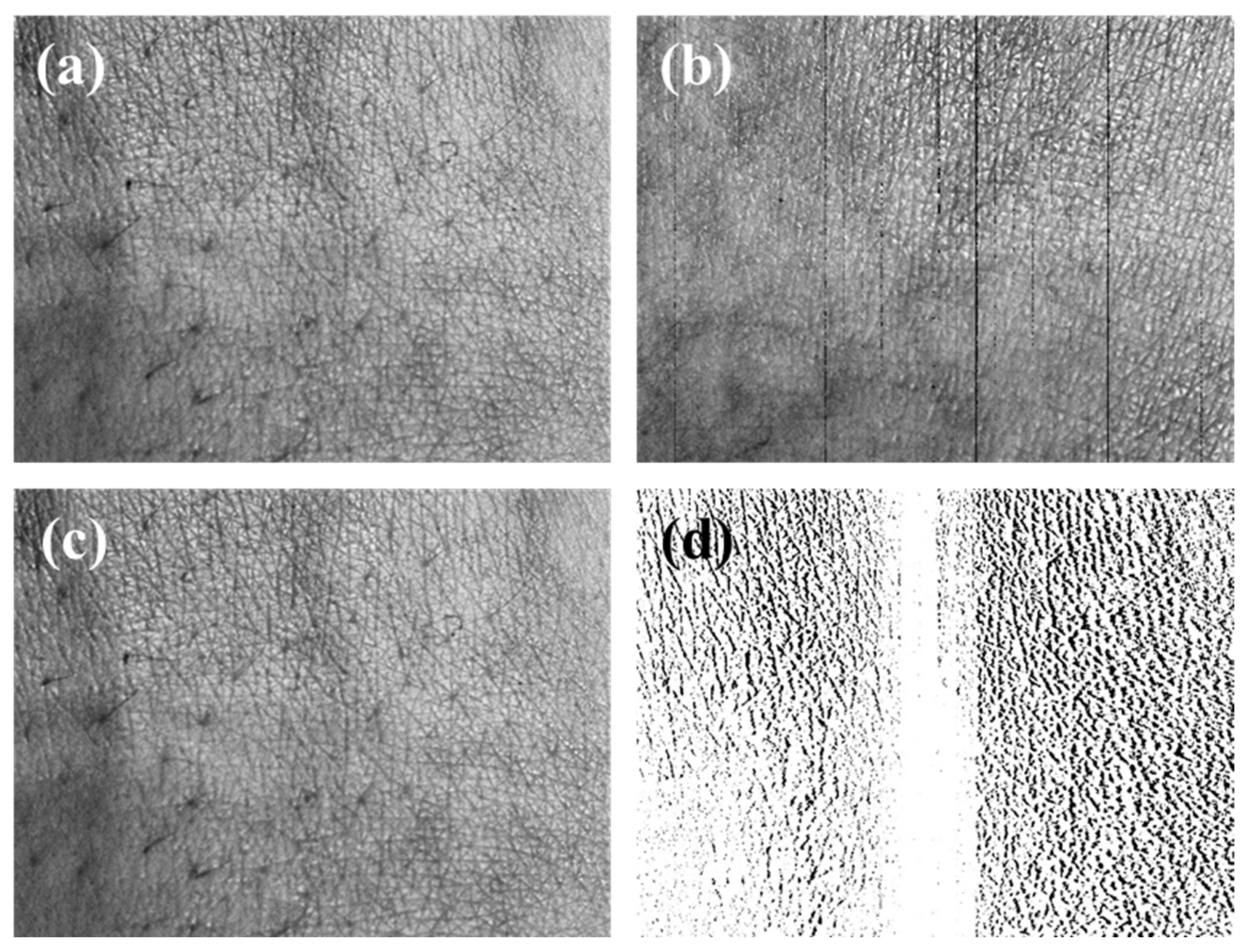 Sensors 20 04492 g010
