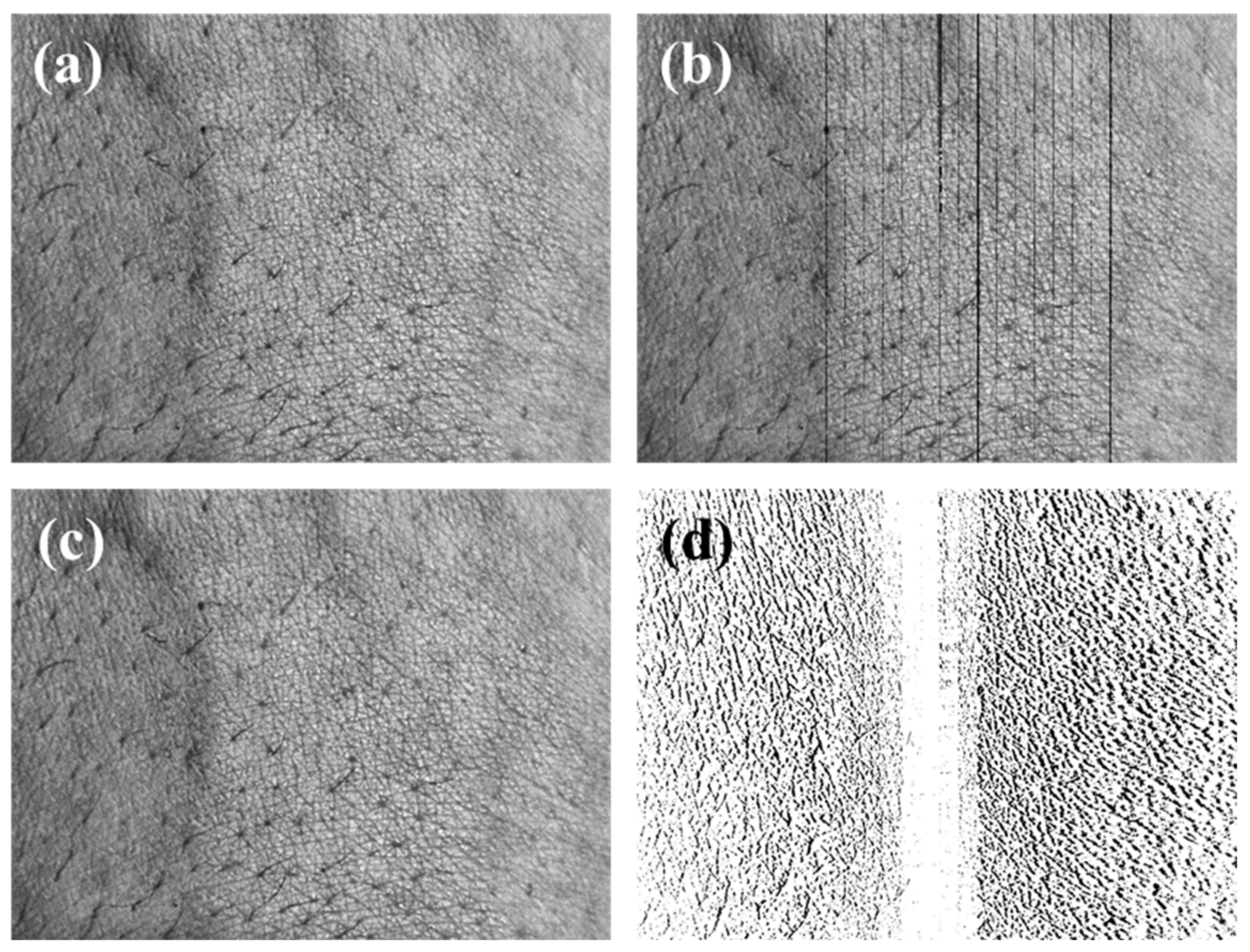 Sensors 20 04492 g011