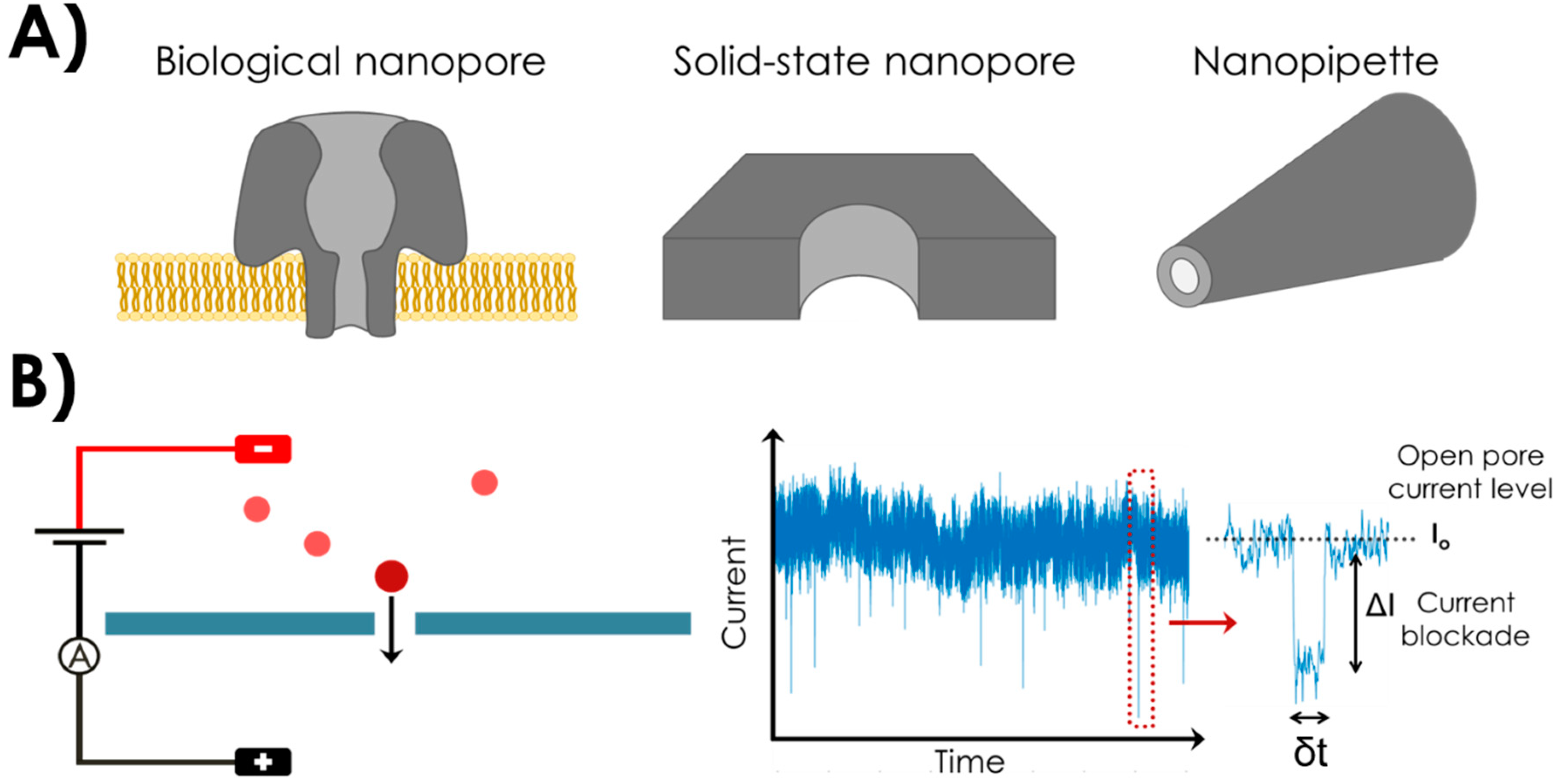 Sensors 20 04495 g001