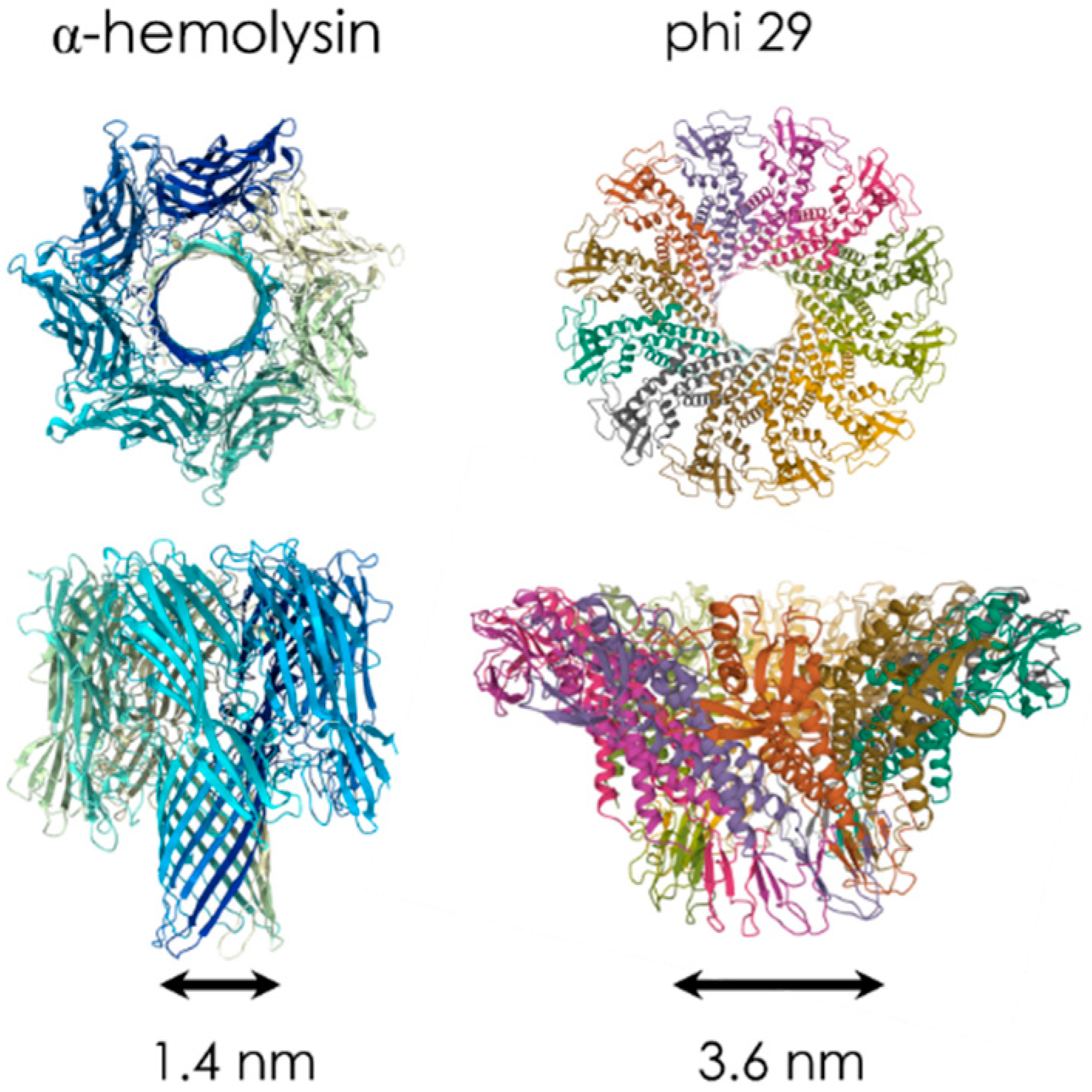 Sensors 20 04495 g002