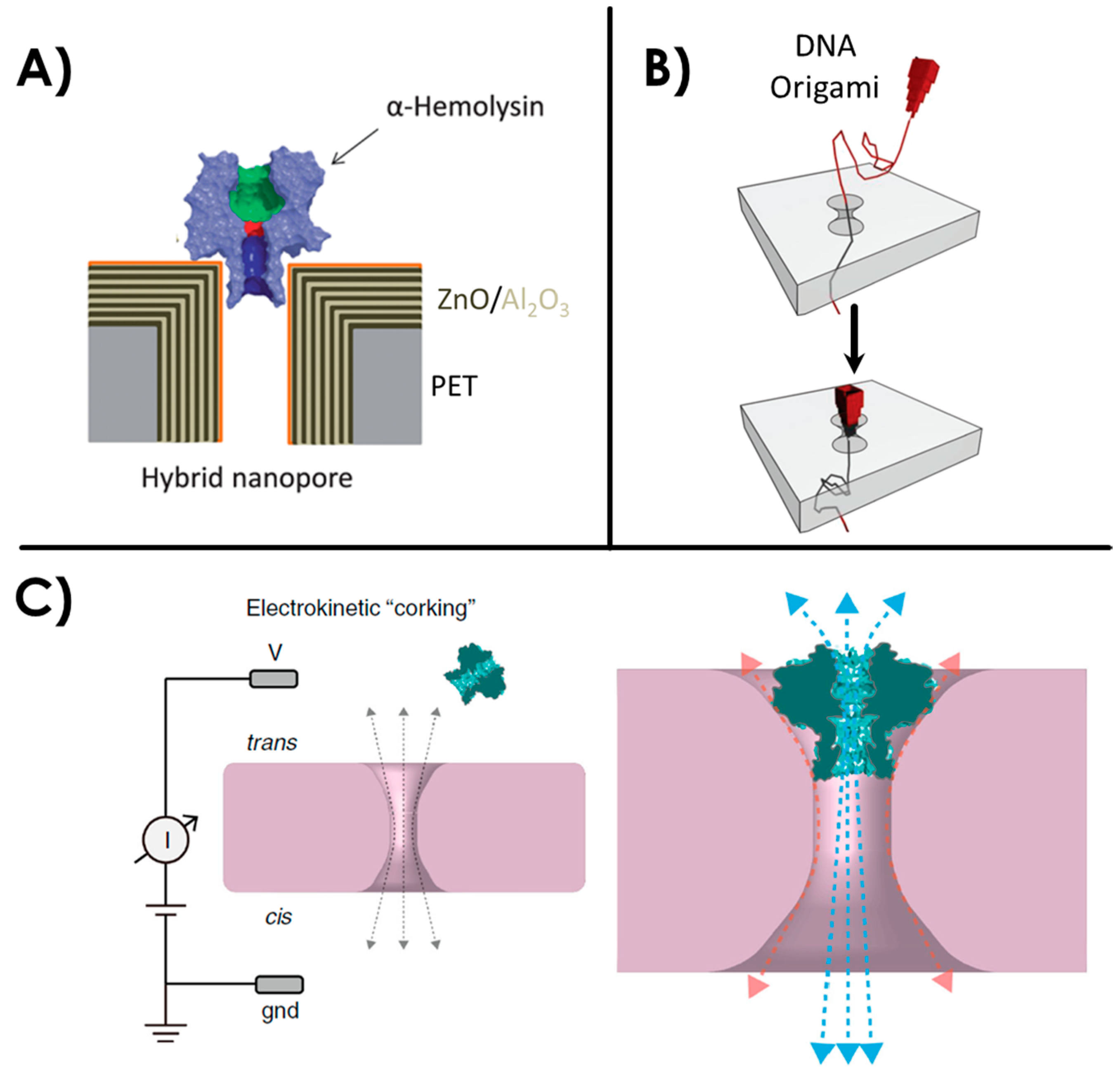 Sensors 20 04495 g003