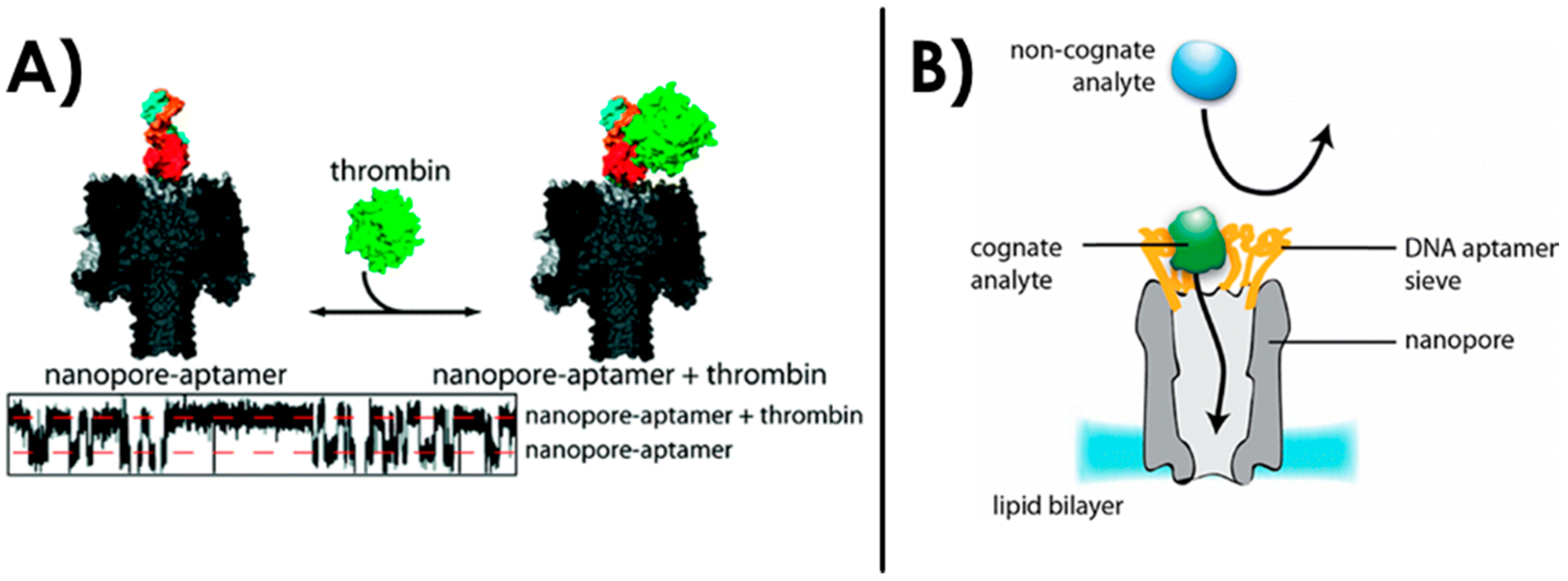 Sensors 20 04495 g008