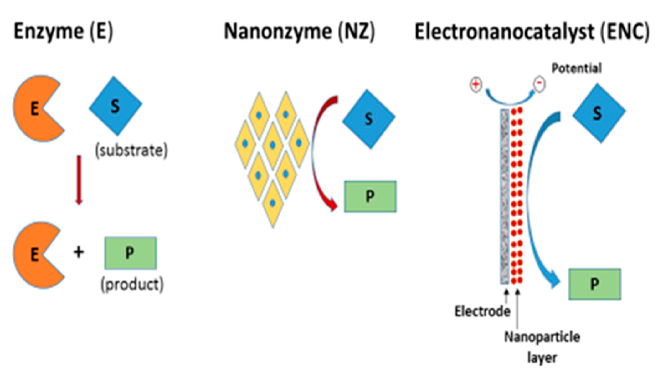 Sensors 20 04509 g001