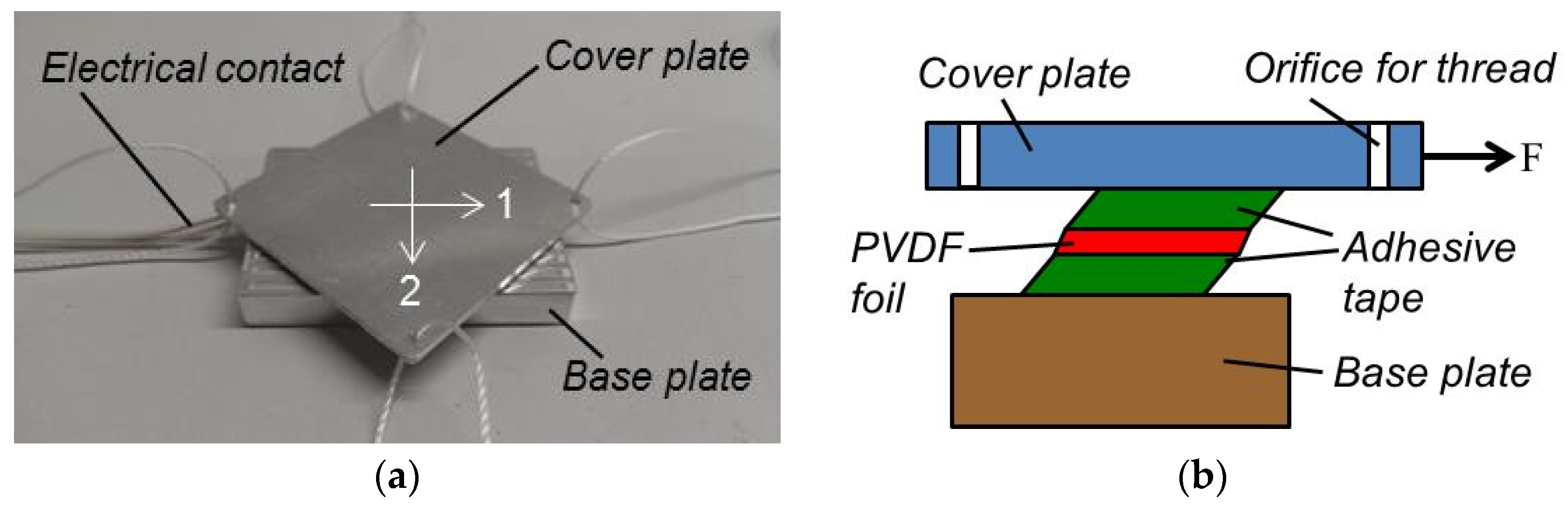 Sensors 20 04565 g006