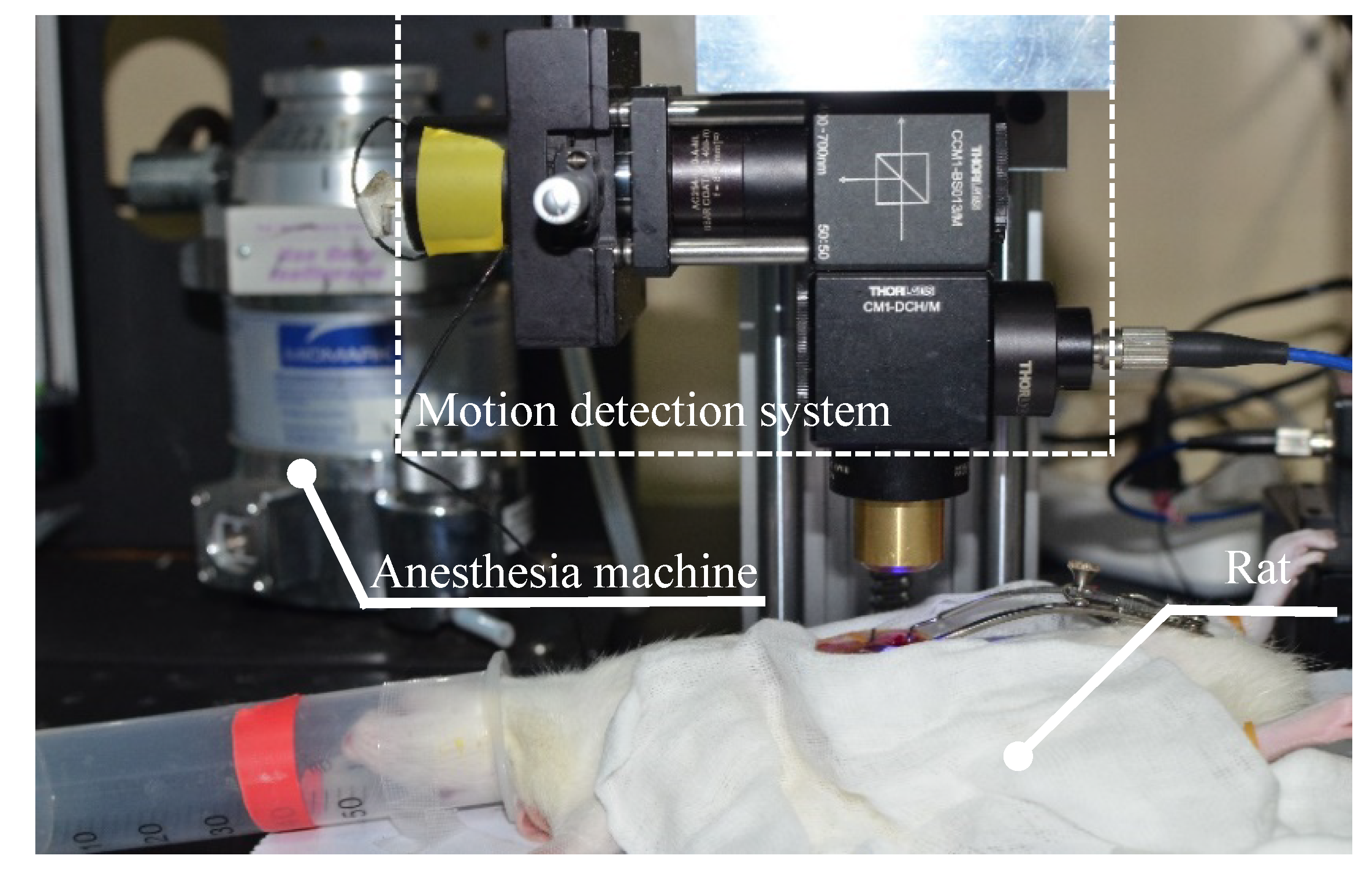 Sensors 20 04573 g013