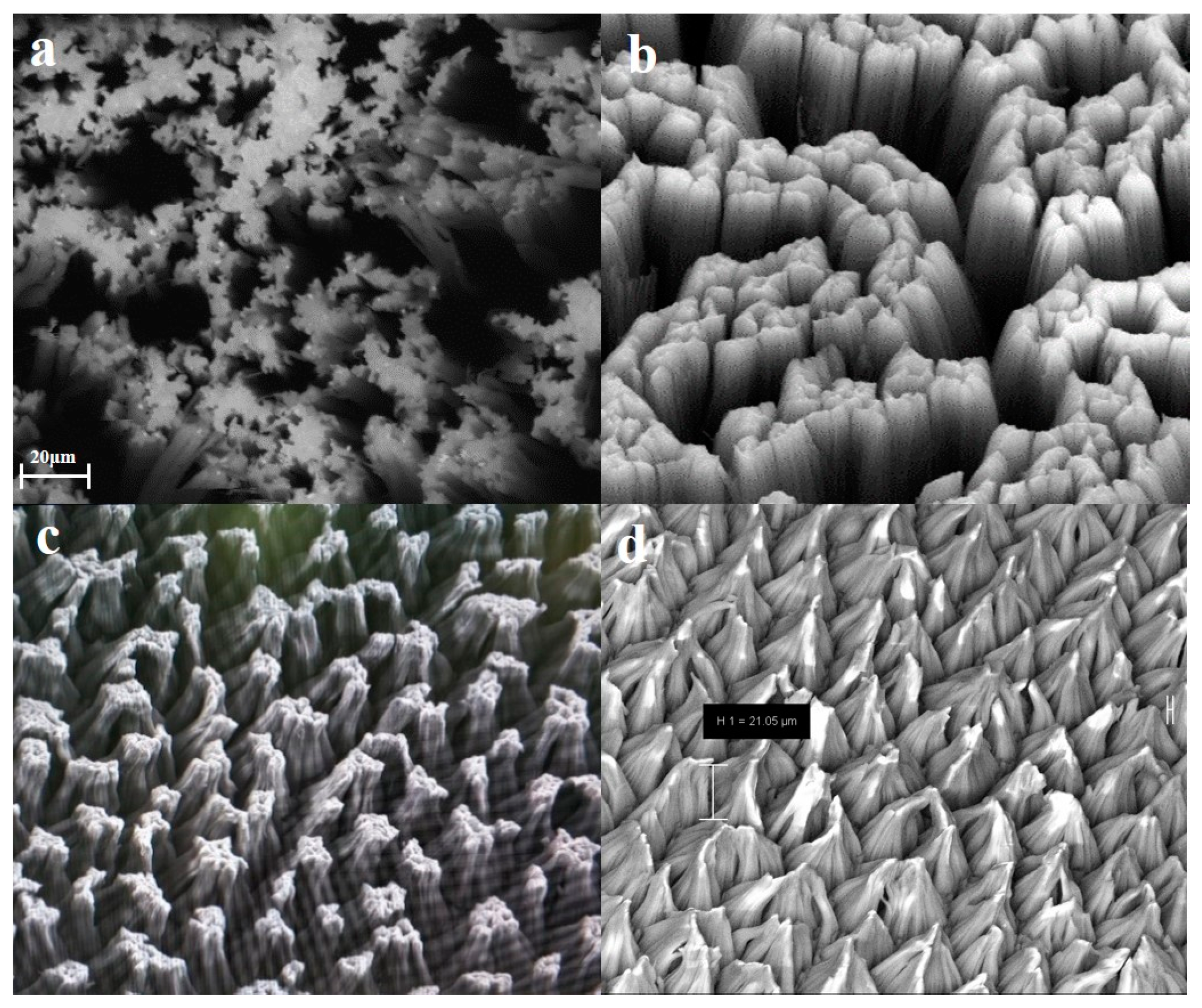 Sensors 20 04613 g002