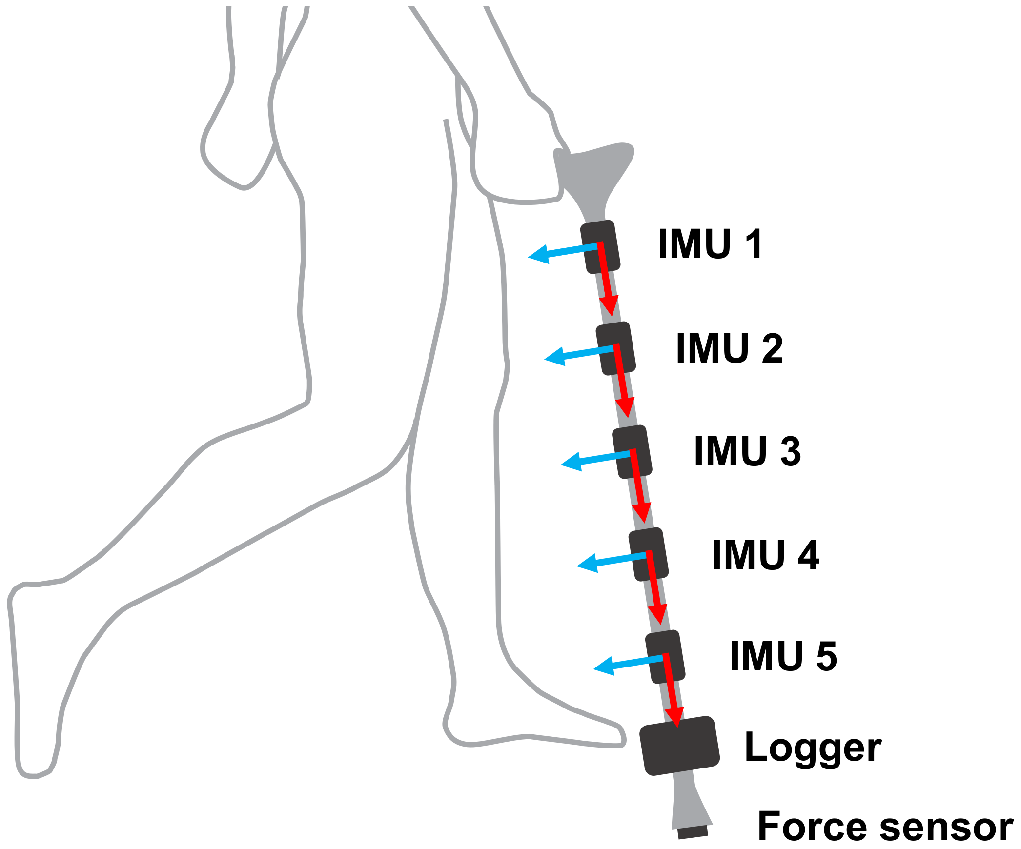 Sensors 20 04675 g004