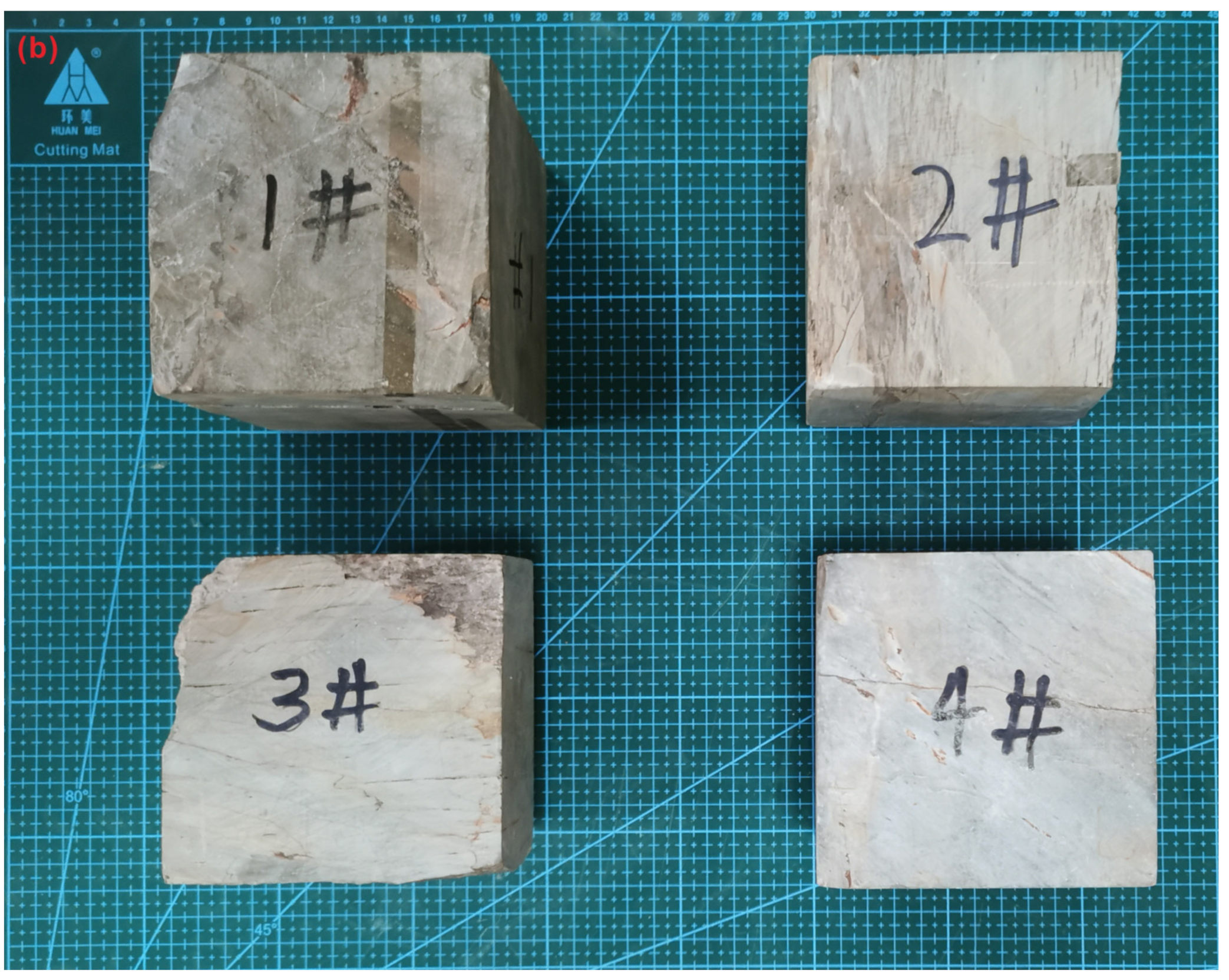 Sensors 20 04853 g002b