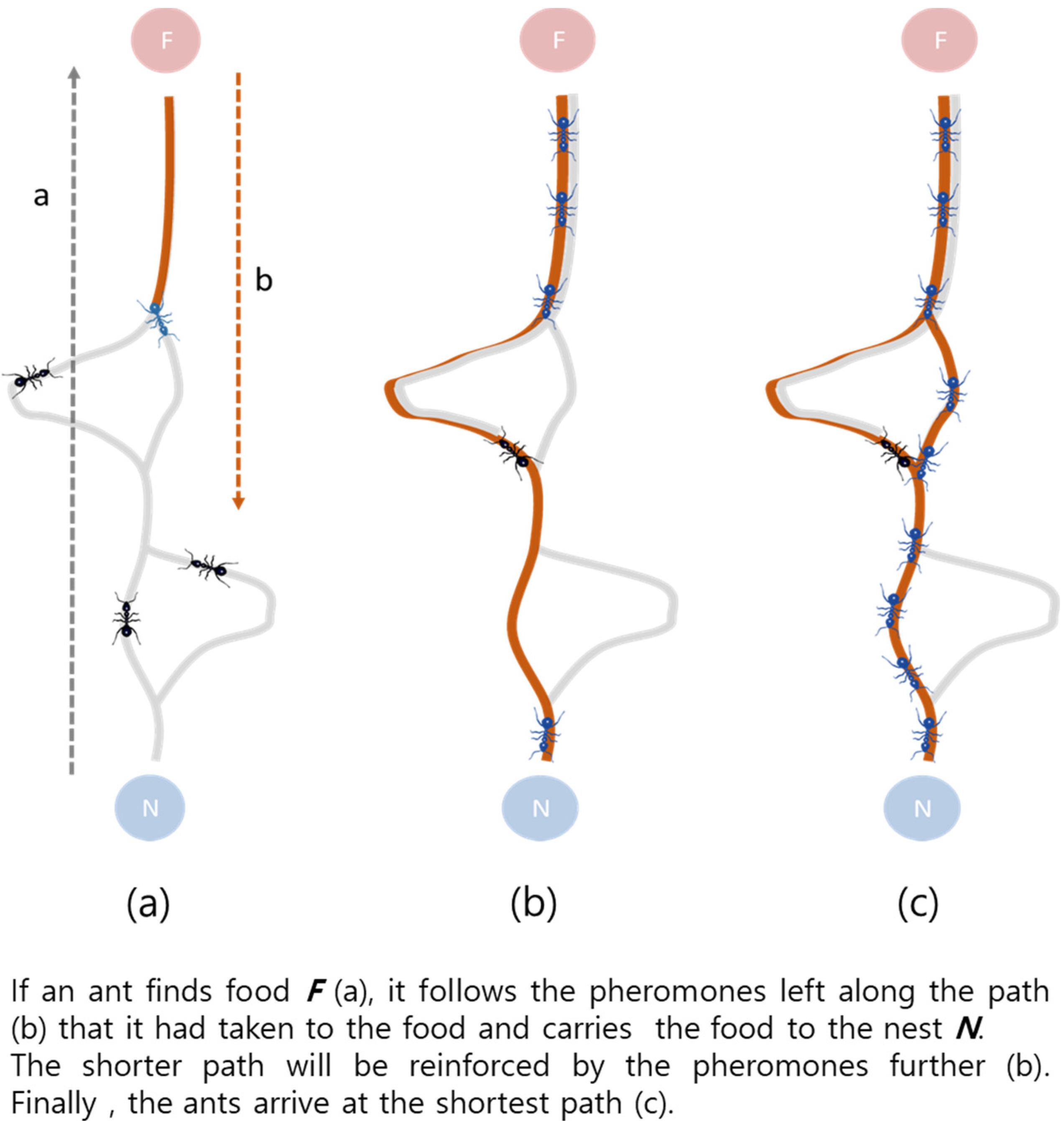 Sensors 20 05164 g001
