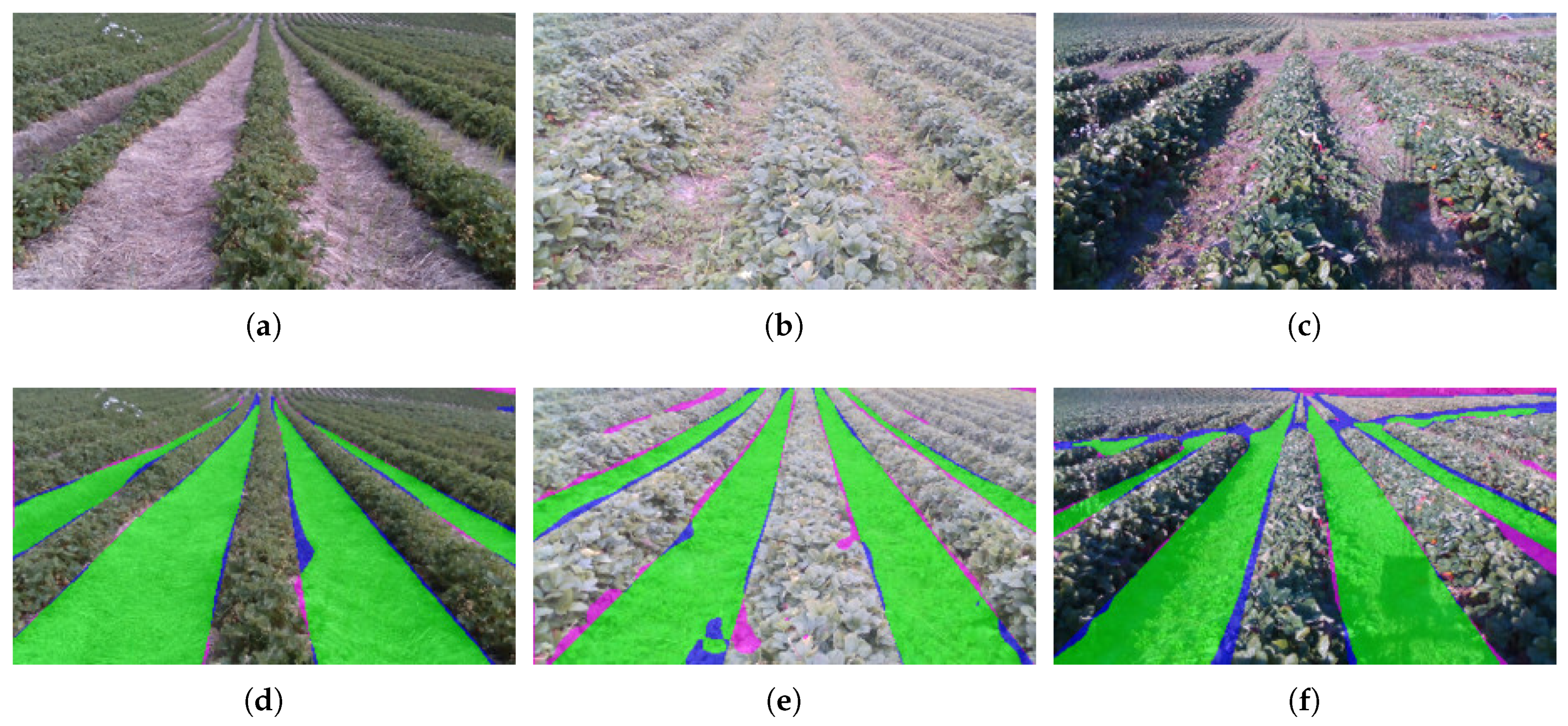 Sensors | Free Full-Text | Autonomous Crop Row Guidance Using Adaptive  Multi-ROI in Strawberry Fields | HTML