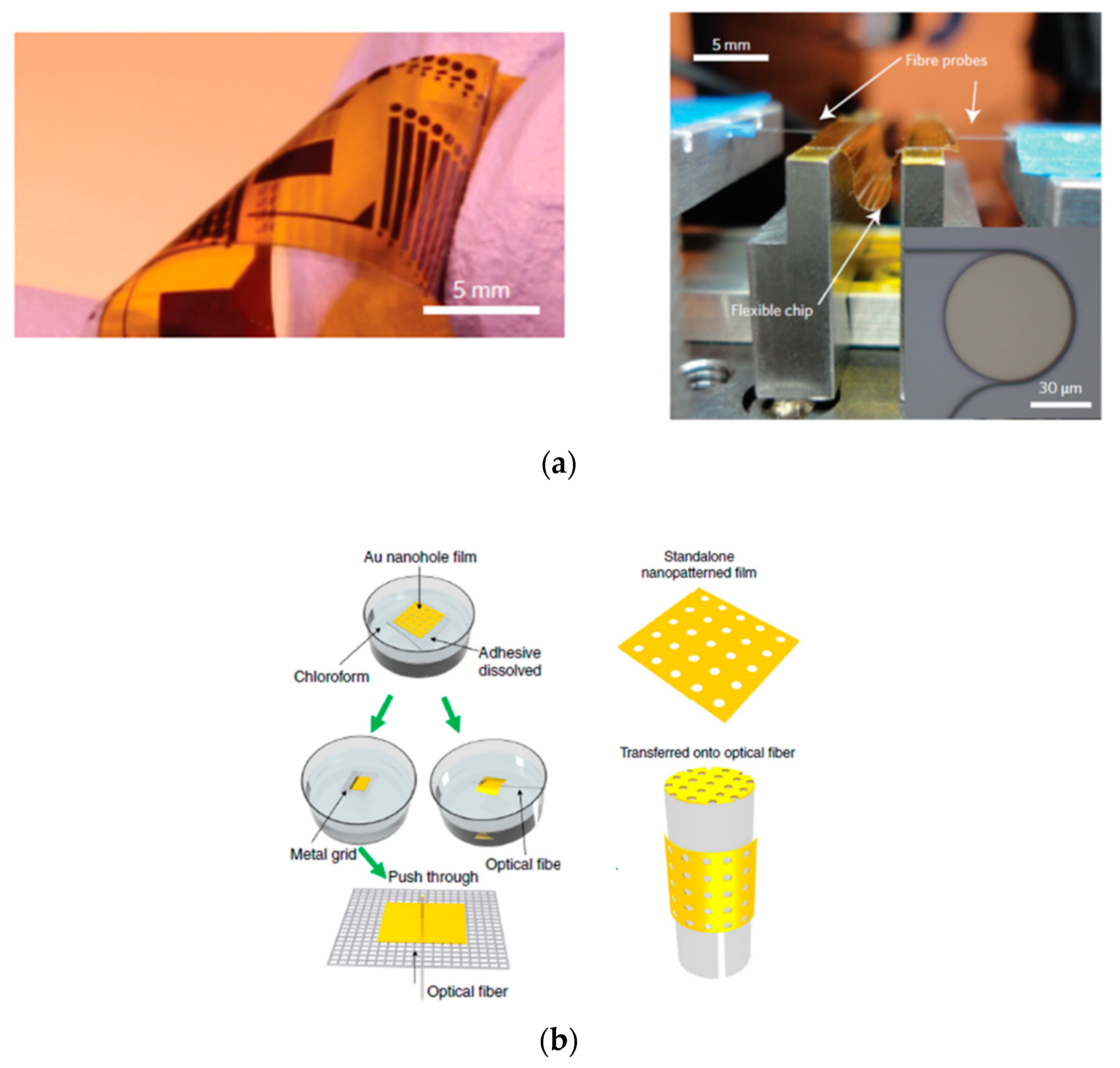 Sensors 20 05303 g002