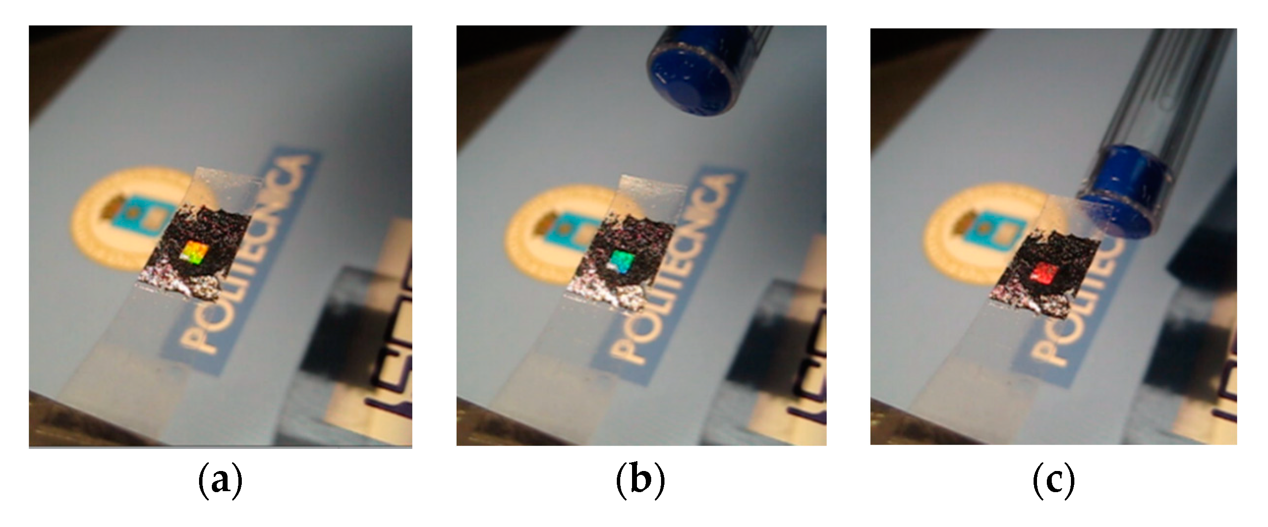Sensors 20 05303 g007