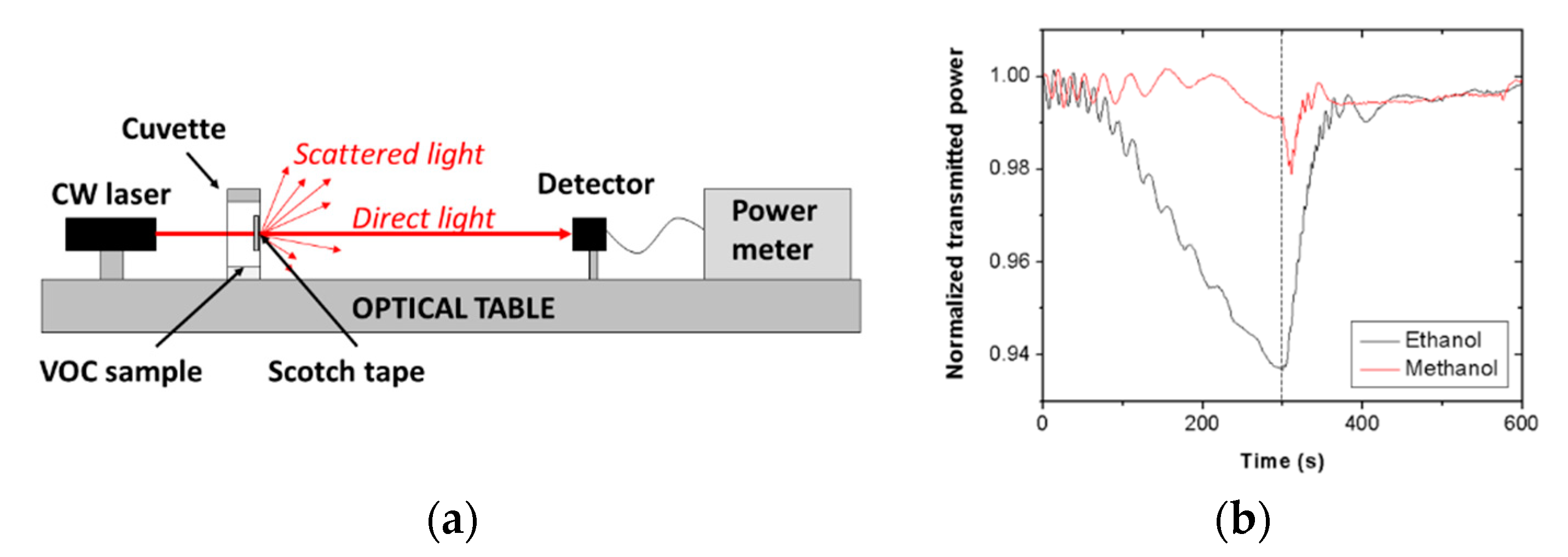 Sensors 20 05303 g008