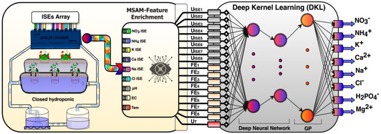 https://www.mdpi.com/sensors/sensors-20-05314/article_deploy/html/images/sensors-20-05314-g001-550.jpg