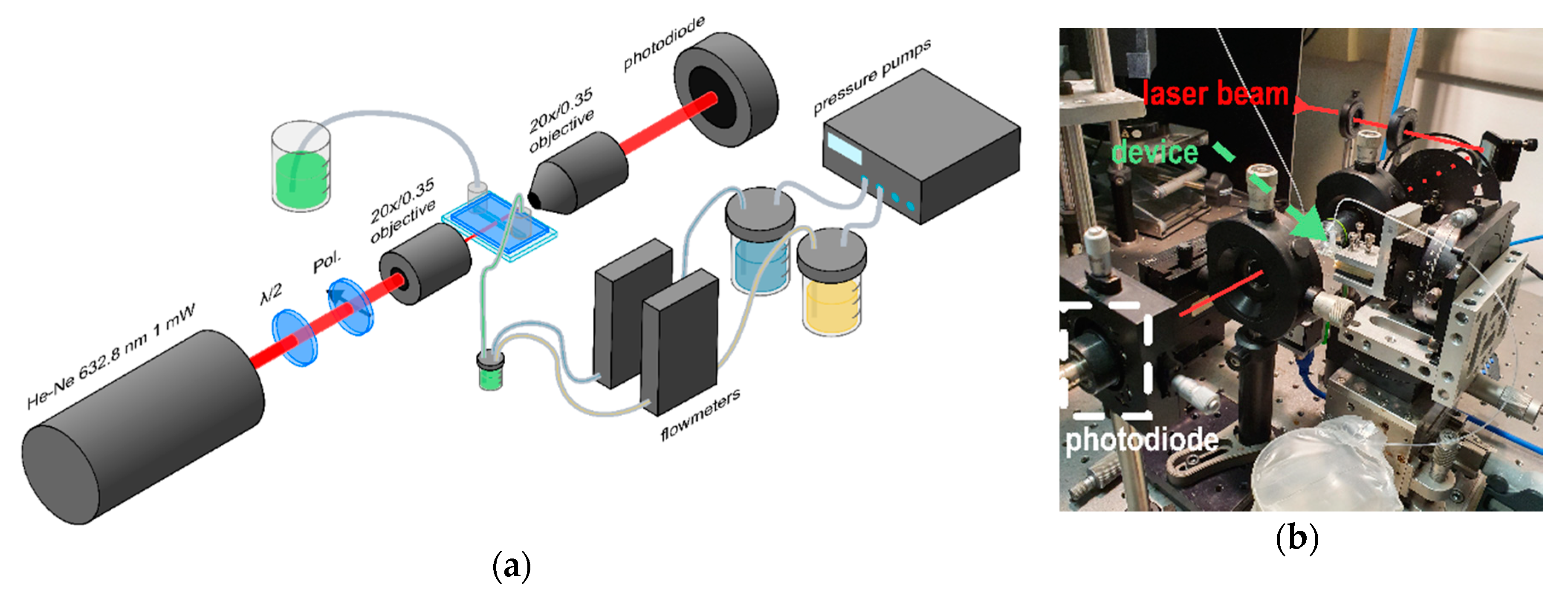 Sensors 20 05366 g003