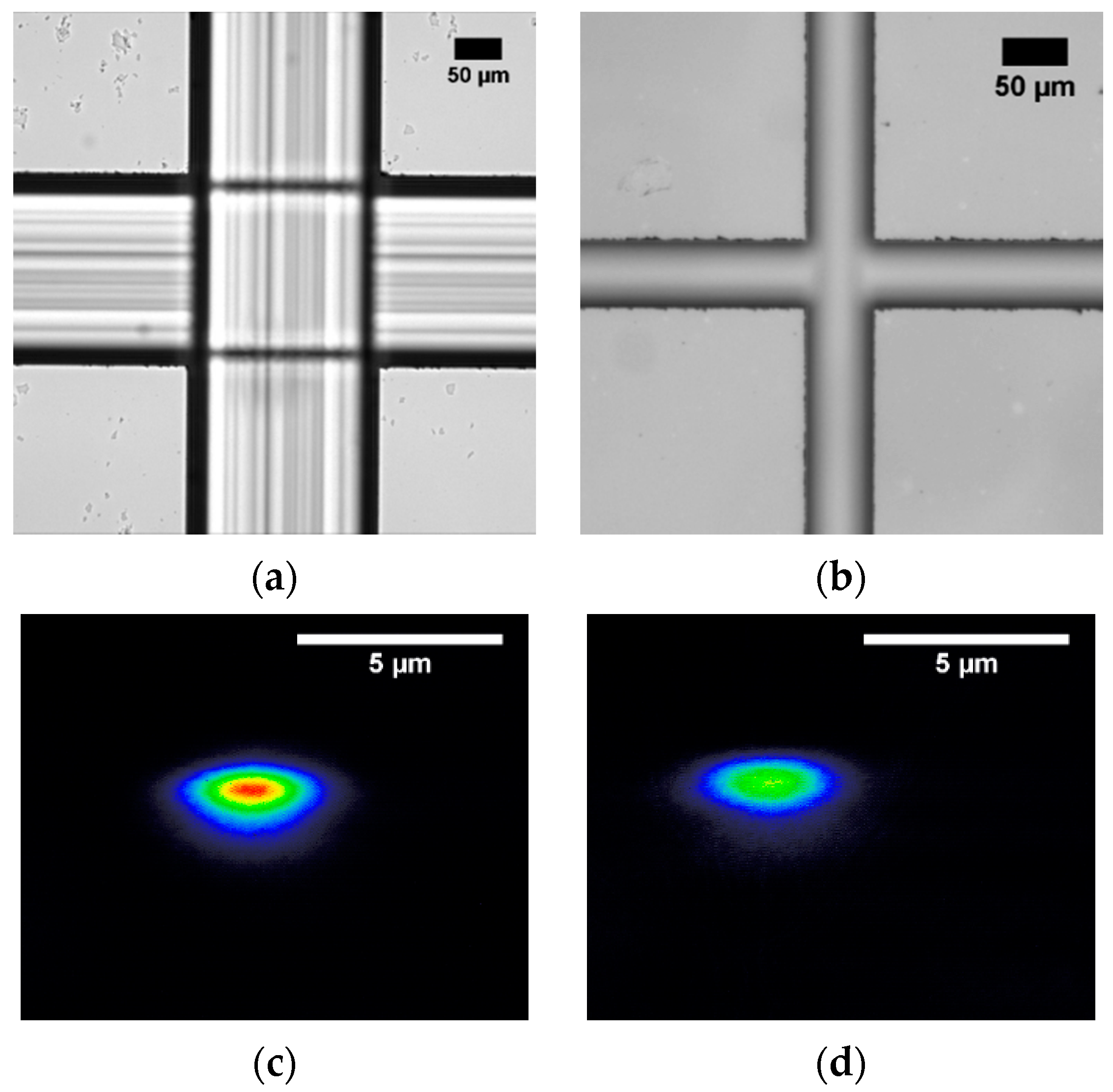 Sensors 20 05366 g005