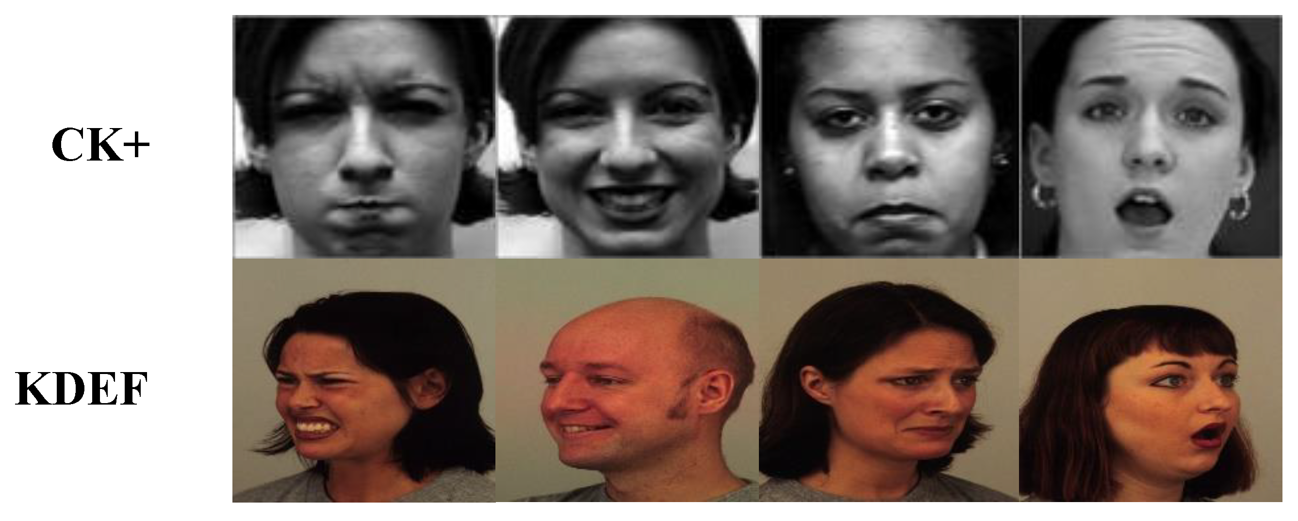 Sensors | Free Full-Text | Development of a Robust Multi-Scale Featured  Local Binary Pattern for Improved Facial Expression Recognition