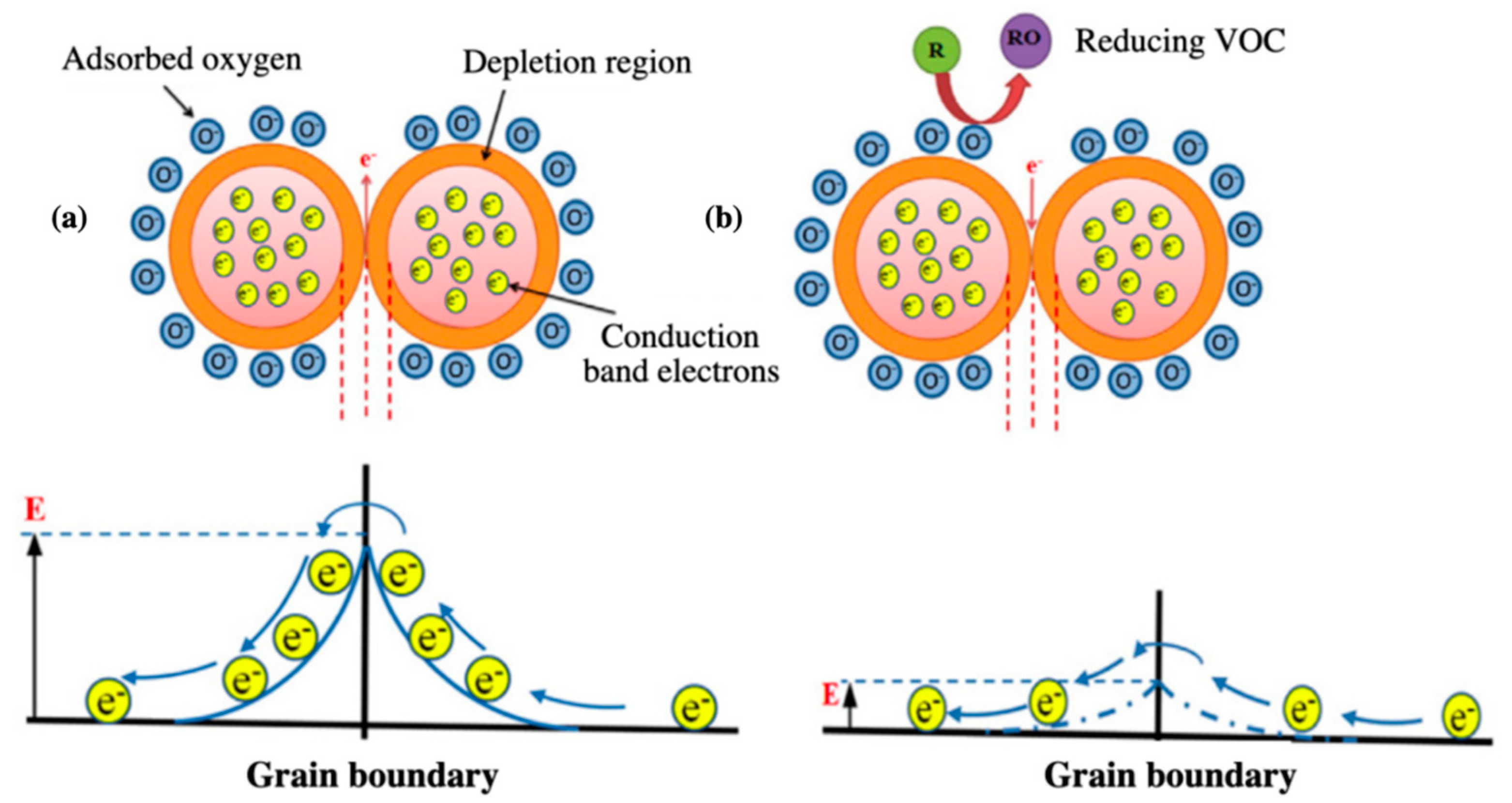 Sensors 20 05478 g006