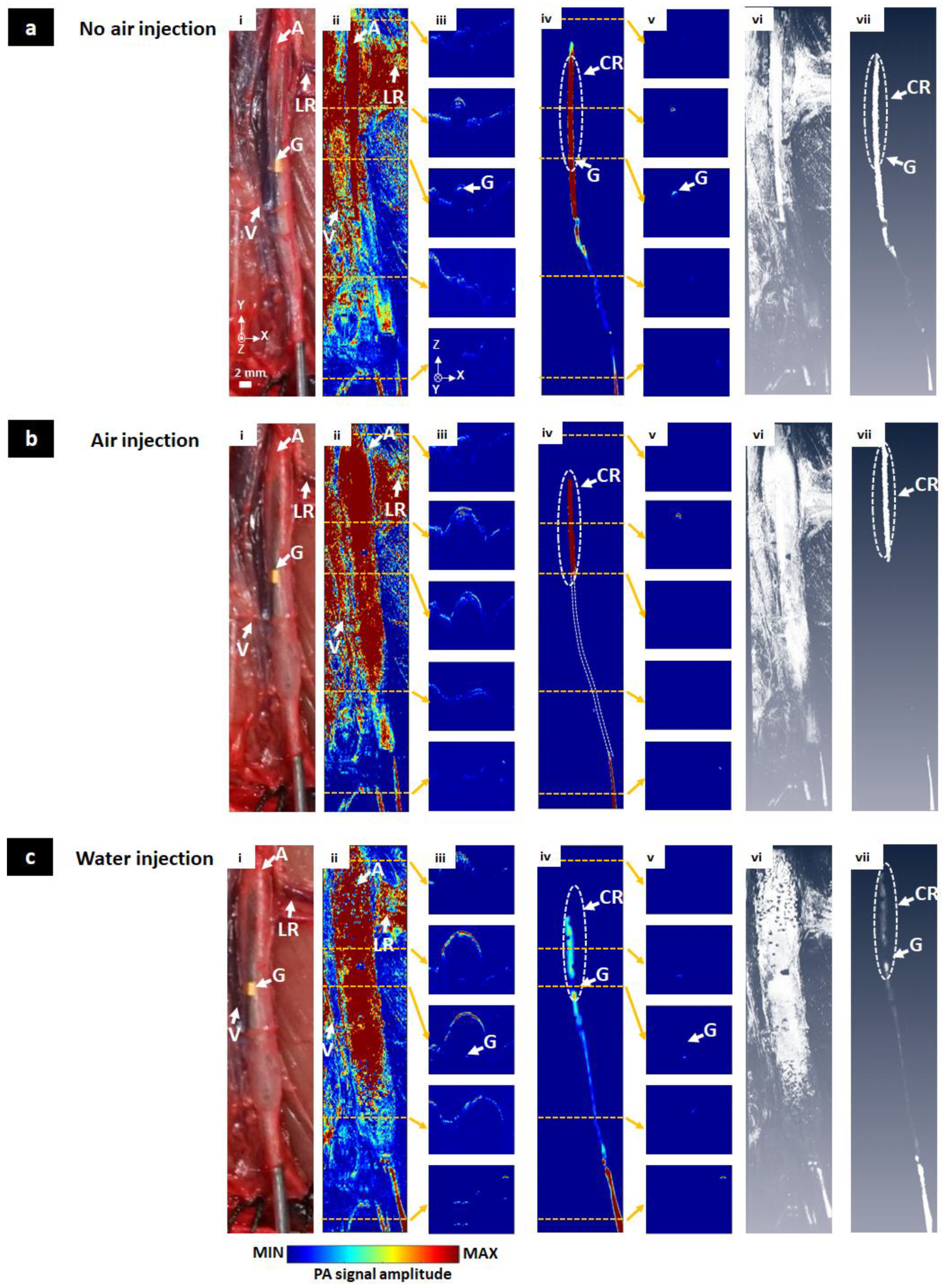 Sensors 20 05585 g005