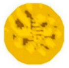 Sensors 20 05697 i019