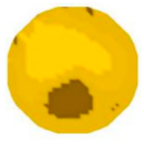 Sensors 20 05697 i032