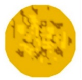 Sensors 20 05697 i037