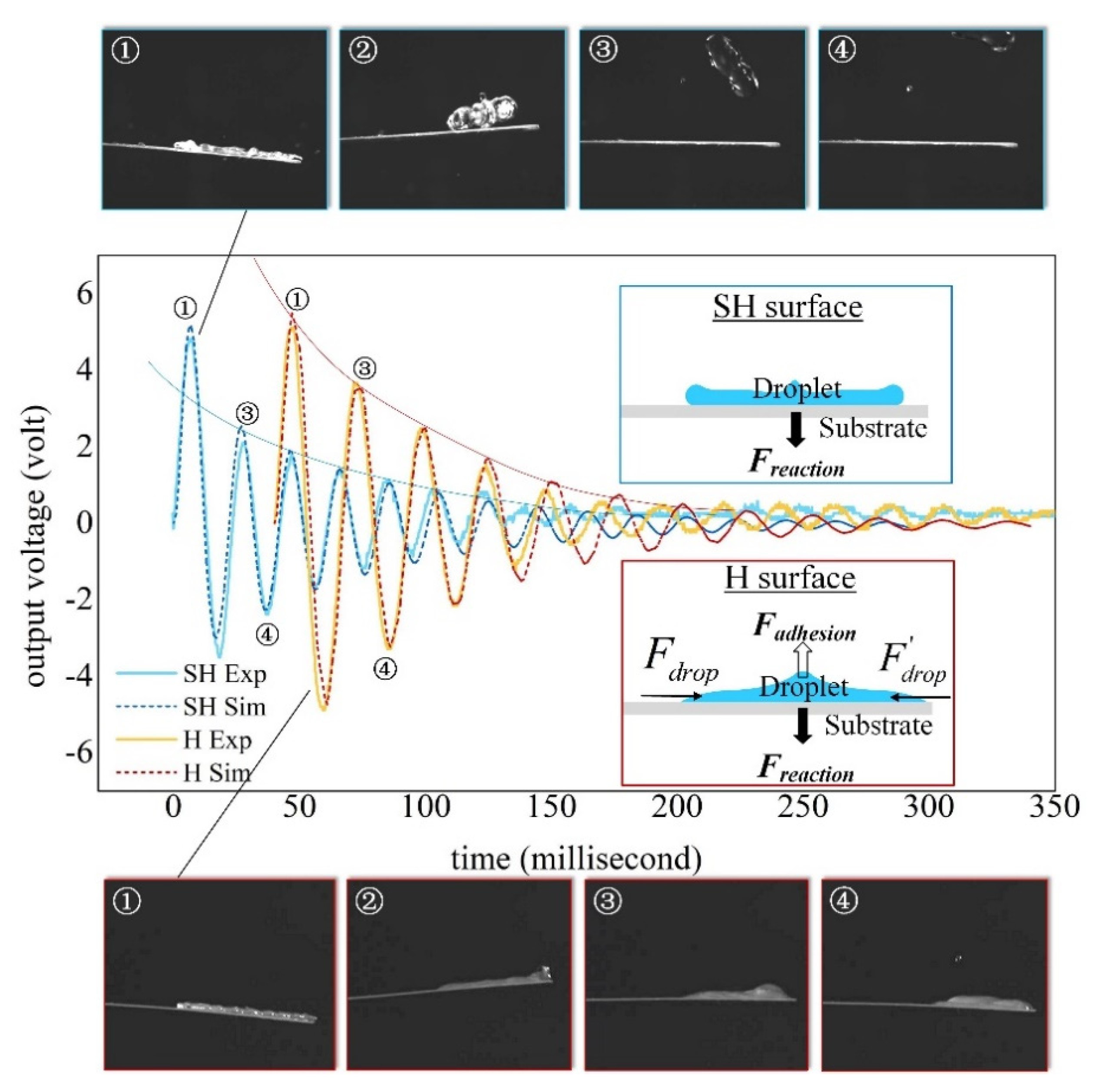 Sensors 20 05764 g005