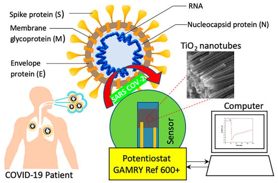 Sensors | Free Full-Text | Functionalized TiO2 Nanotube-Based ...