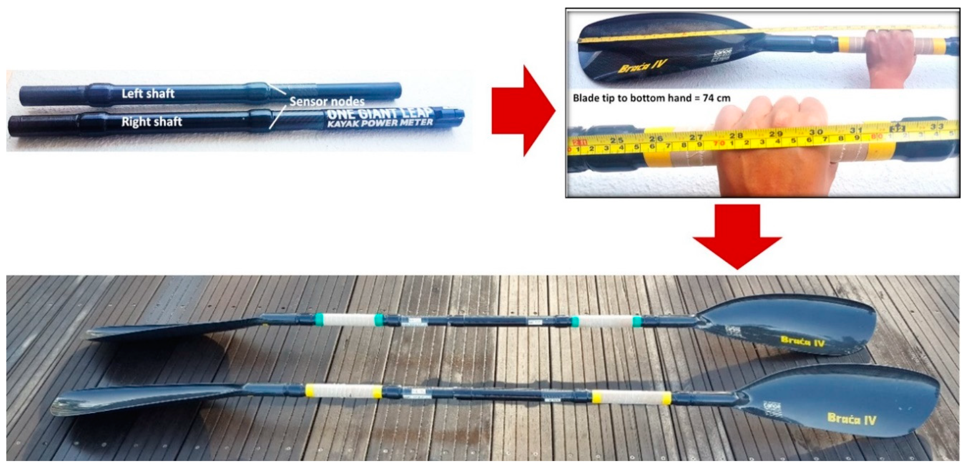 Sensors | Free Full-Text | Application of Instrumented Paddles in Measuring  On-Water Kinetics of Front and Back Paddlers in K2 Sprint Kayaking Crews of  Various Ability Levels