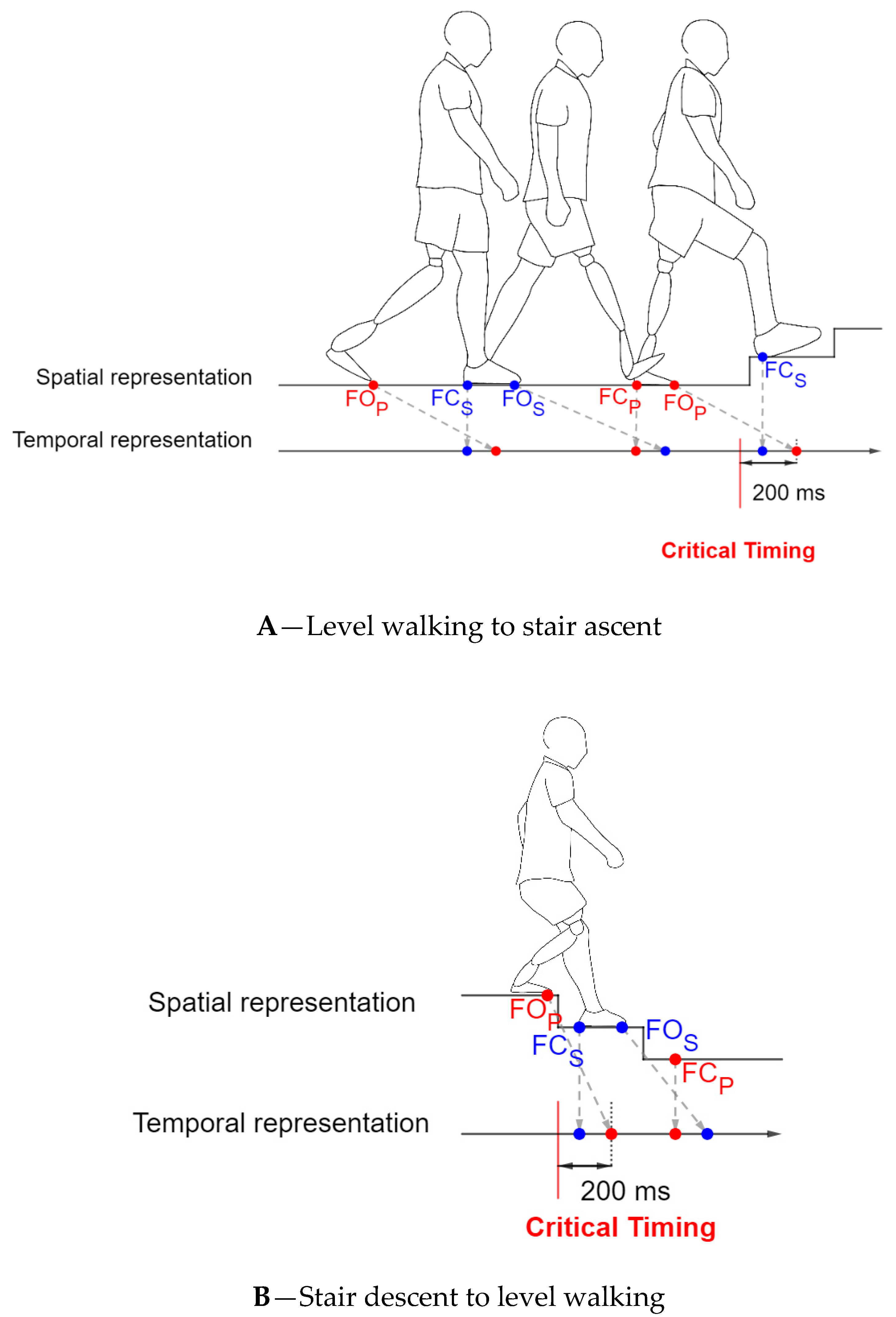 Sensors 20 06345 g002