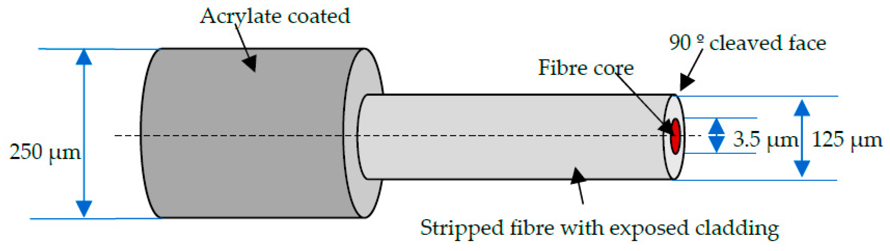 Sensors 20 06369 g001