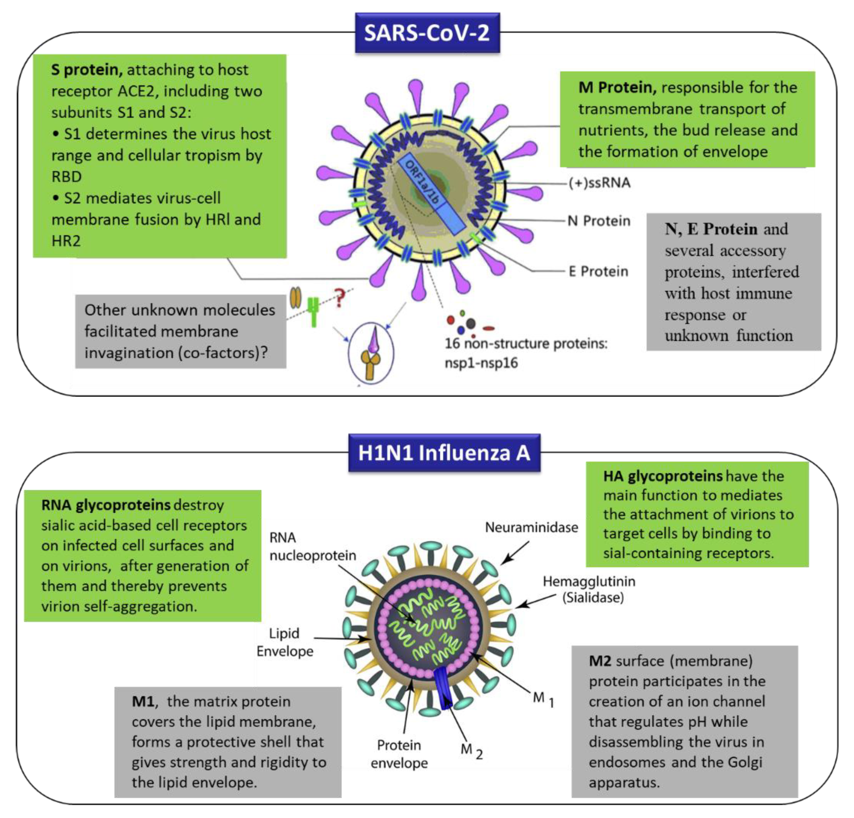 Sensors 20 06591 g003
