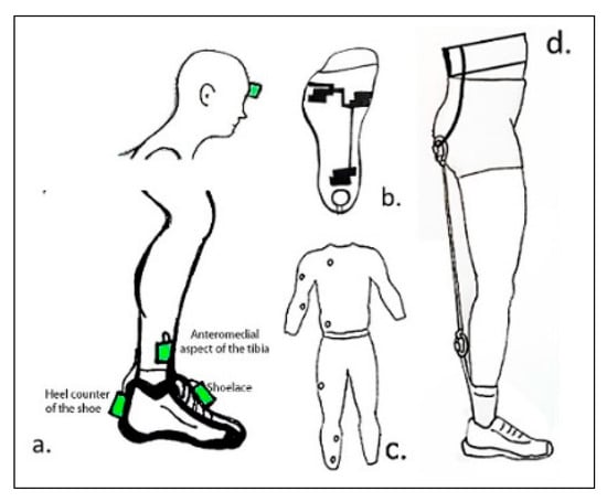 Sensors | Free Full-Text | Effects of Wearable Devices with Biofeedback ...