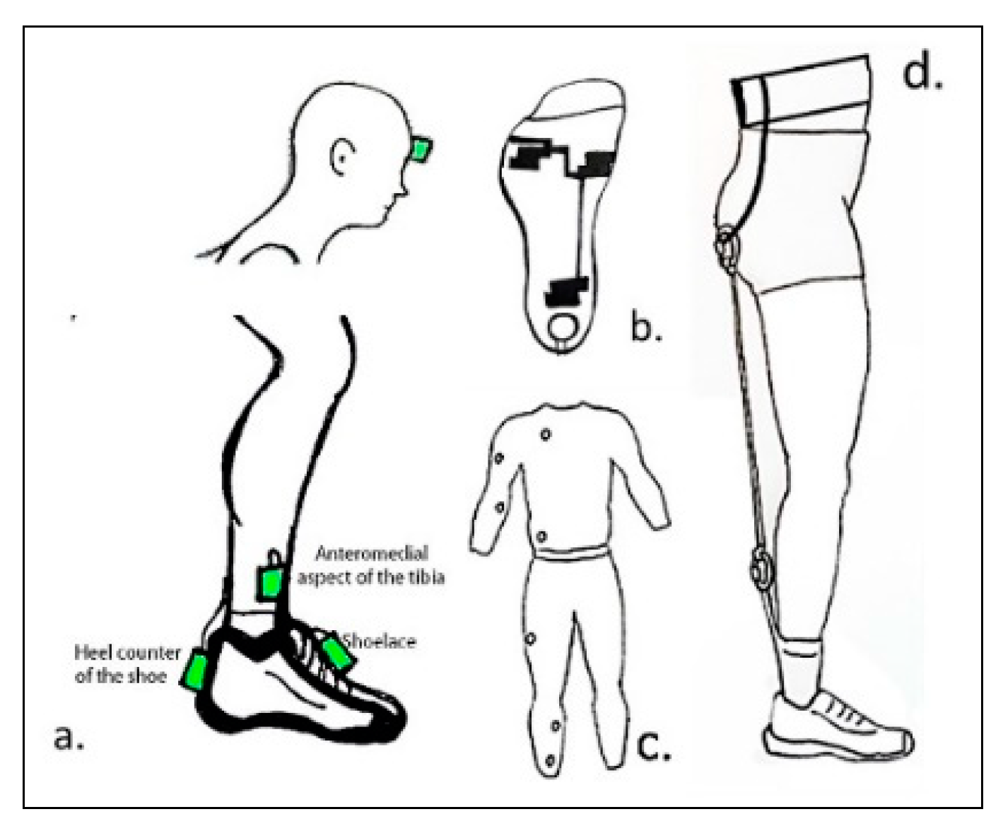 Sensors 20 06637 g002