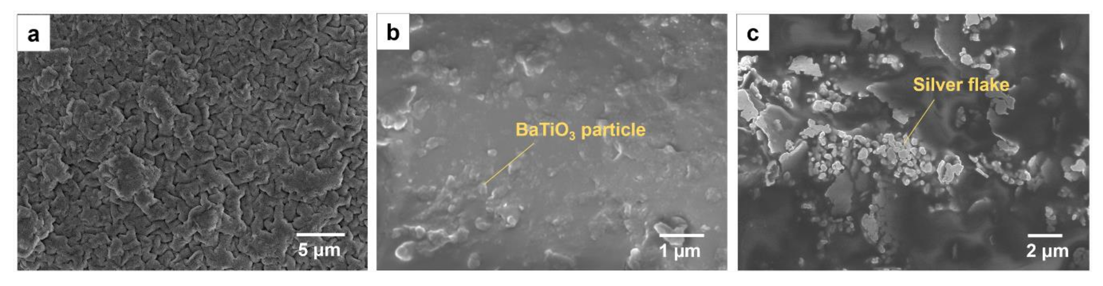 Sensors Free Full Text All 3d Printed Stretchable Piezoelectric Nanogenerator For Self Powered Sensor Application Html