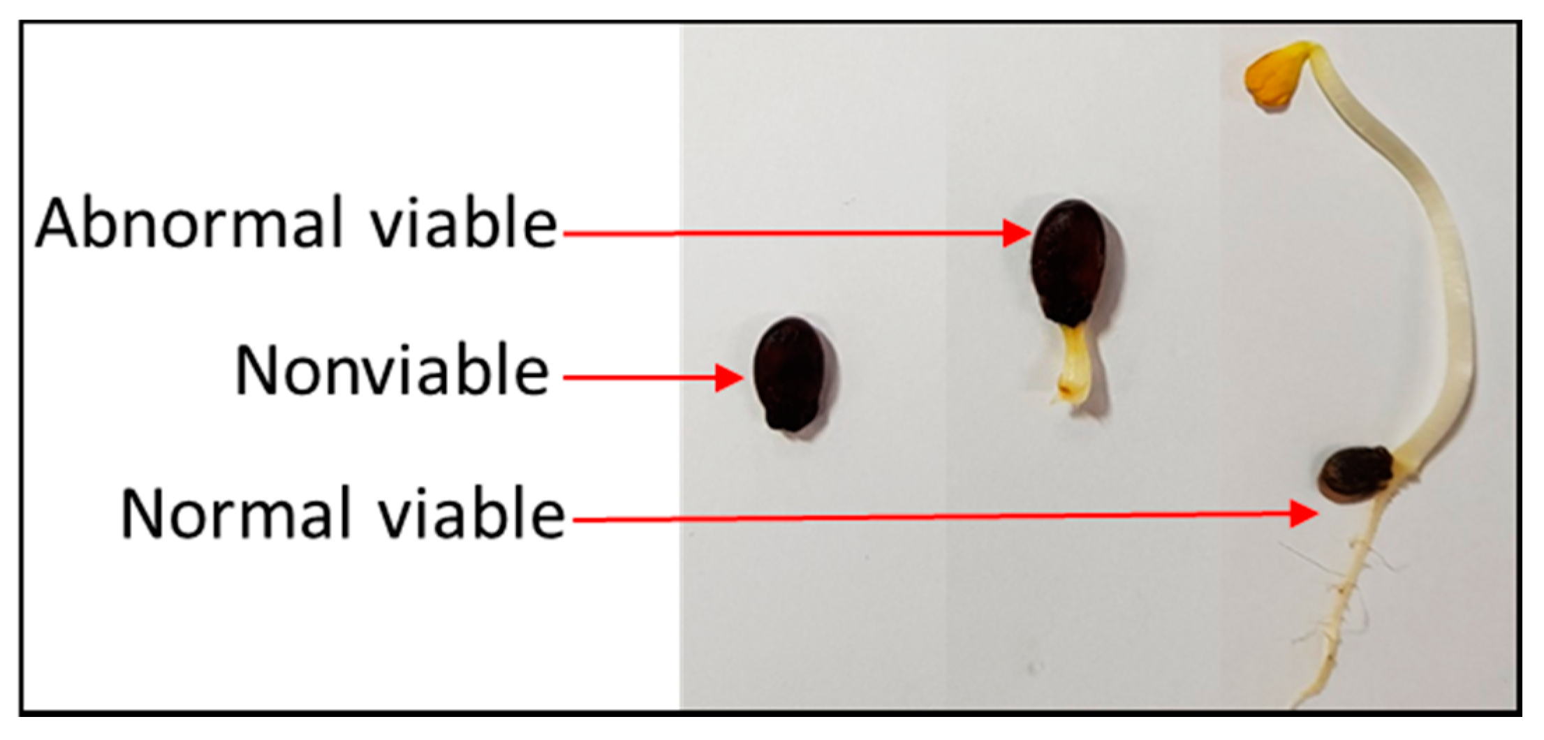 Sensors 20 06753 g005 Sensors 20 06753 g005