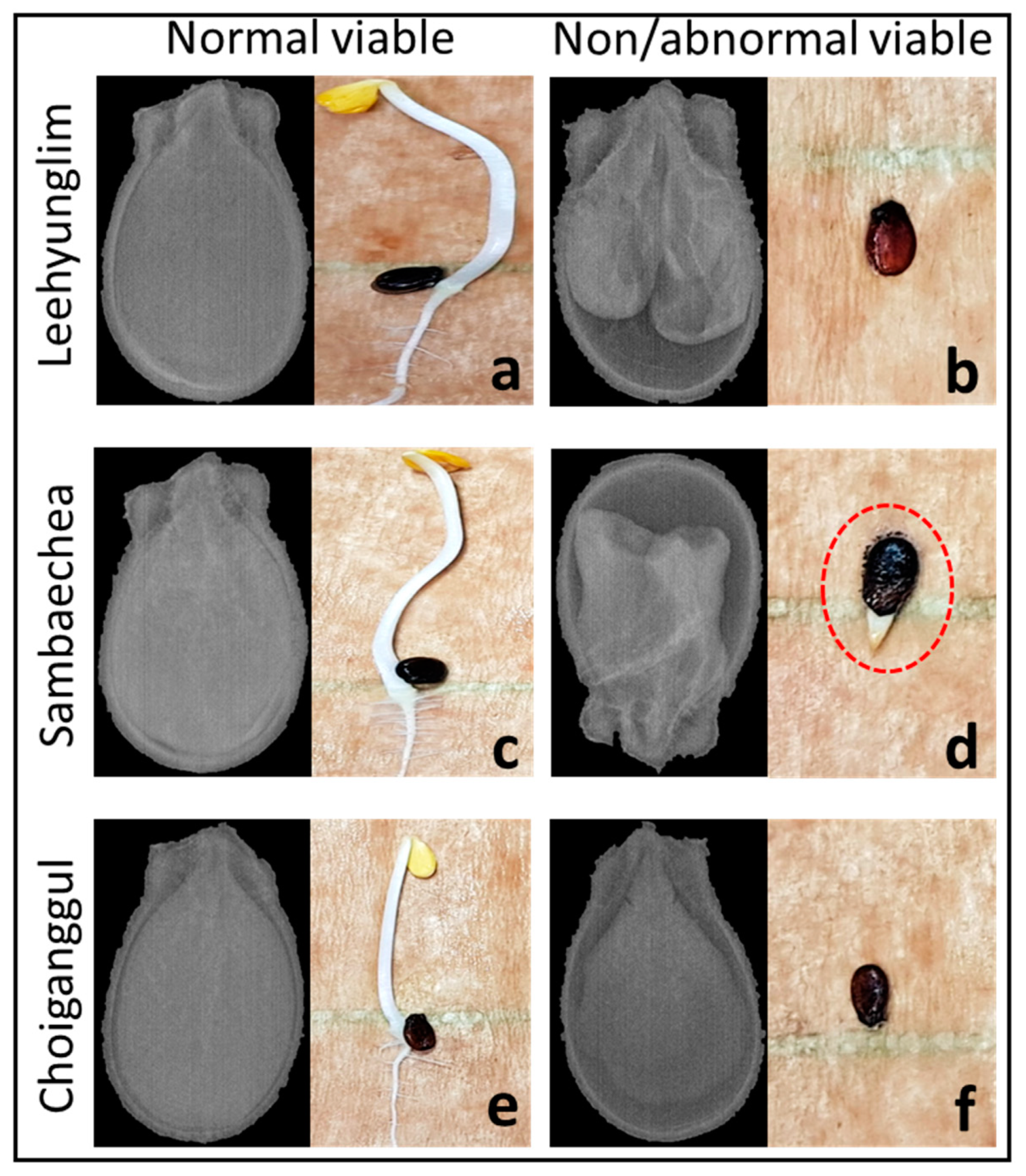 Sensors 20 06753 g008 Sensors 20 06753 g008