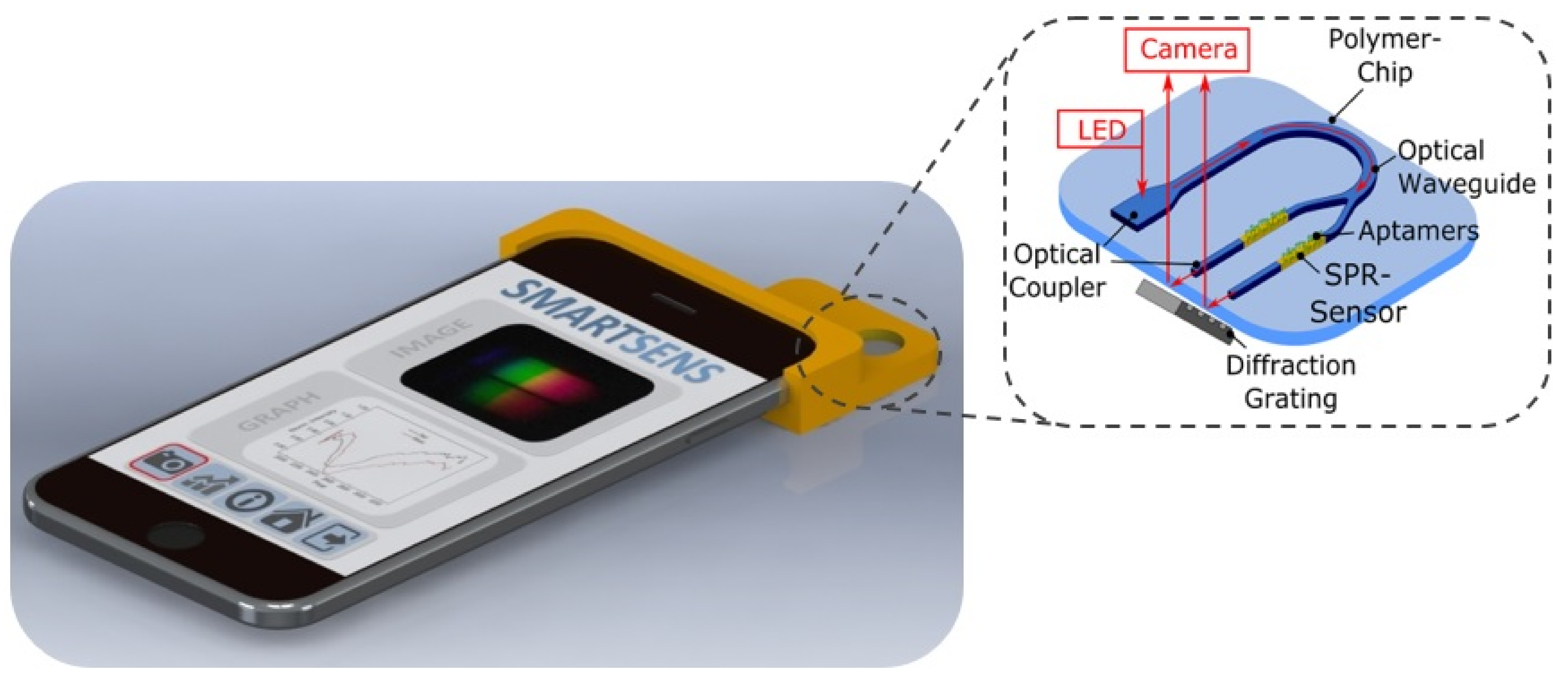 3D (IPHONE) LV Design Transparent Carbon Fiber Back Film Protector Sticker