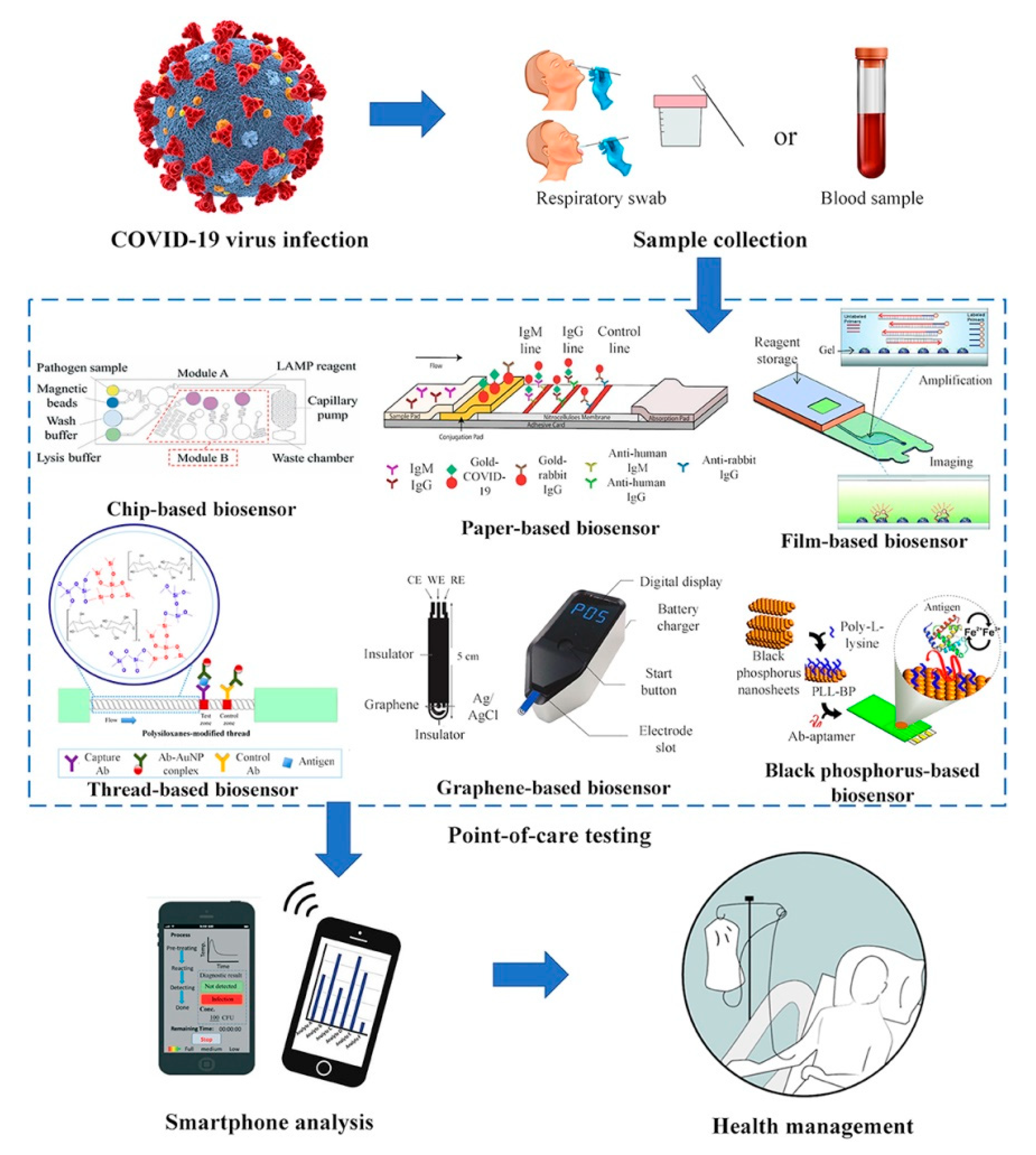 Sensors Free Full Text Biosensors For The Detection Of Bacterial
