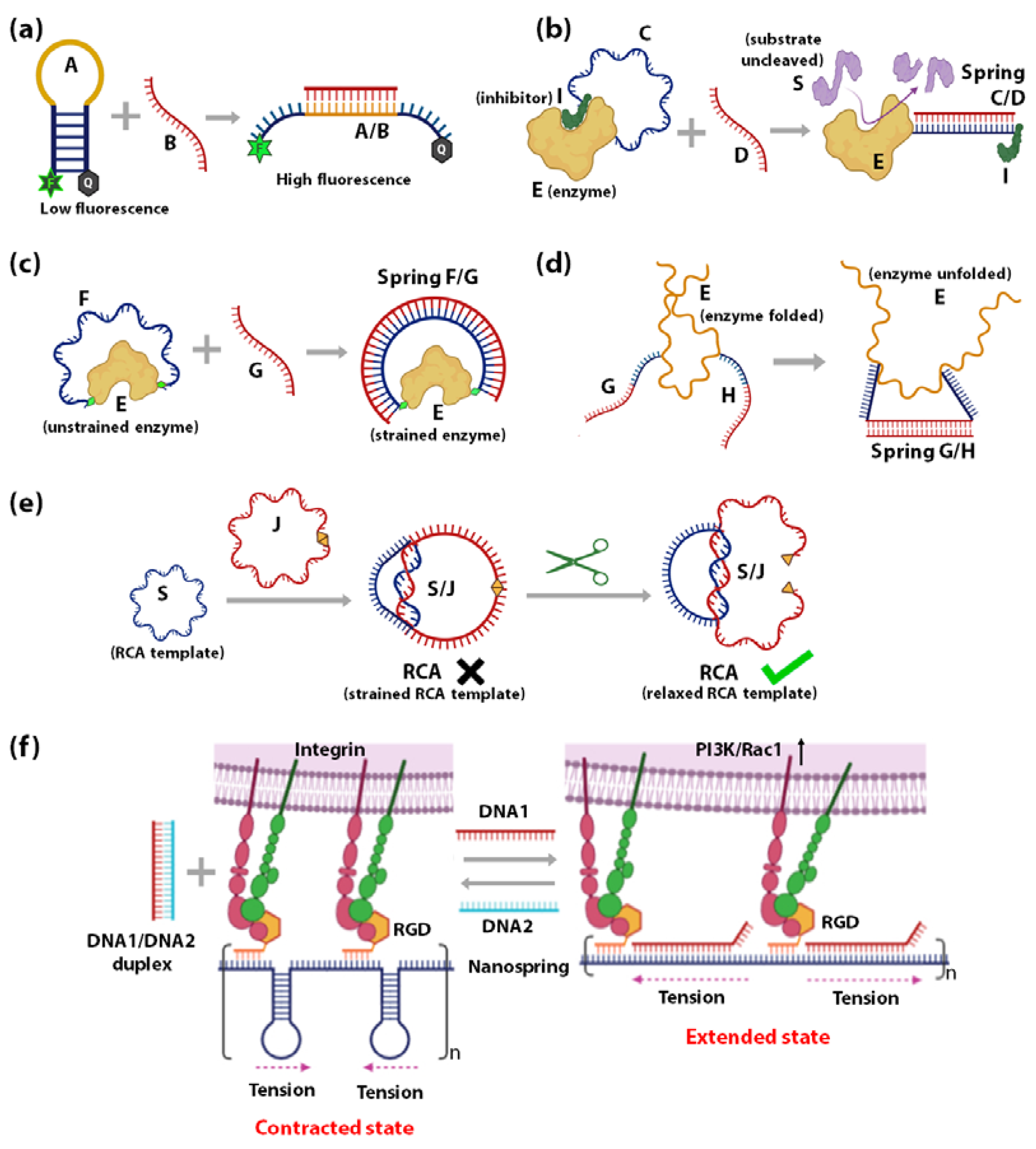 Sensors | Free Full-Text | Mechanical Flexibility of DNA: A Quintessential  Tool for DNA Nanotechnology | HTML