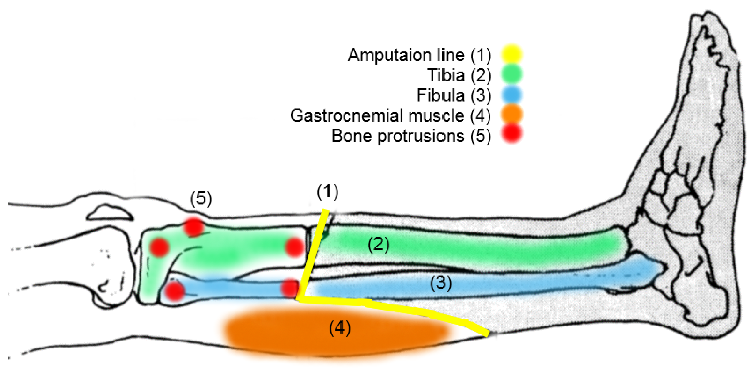 Sensors 20 07043 g003