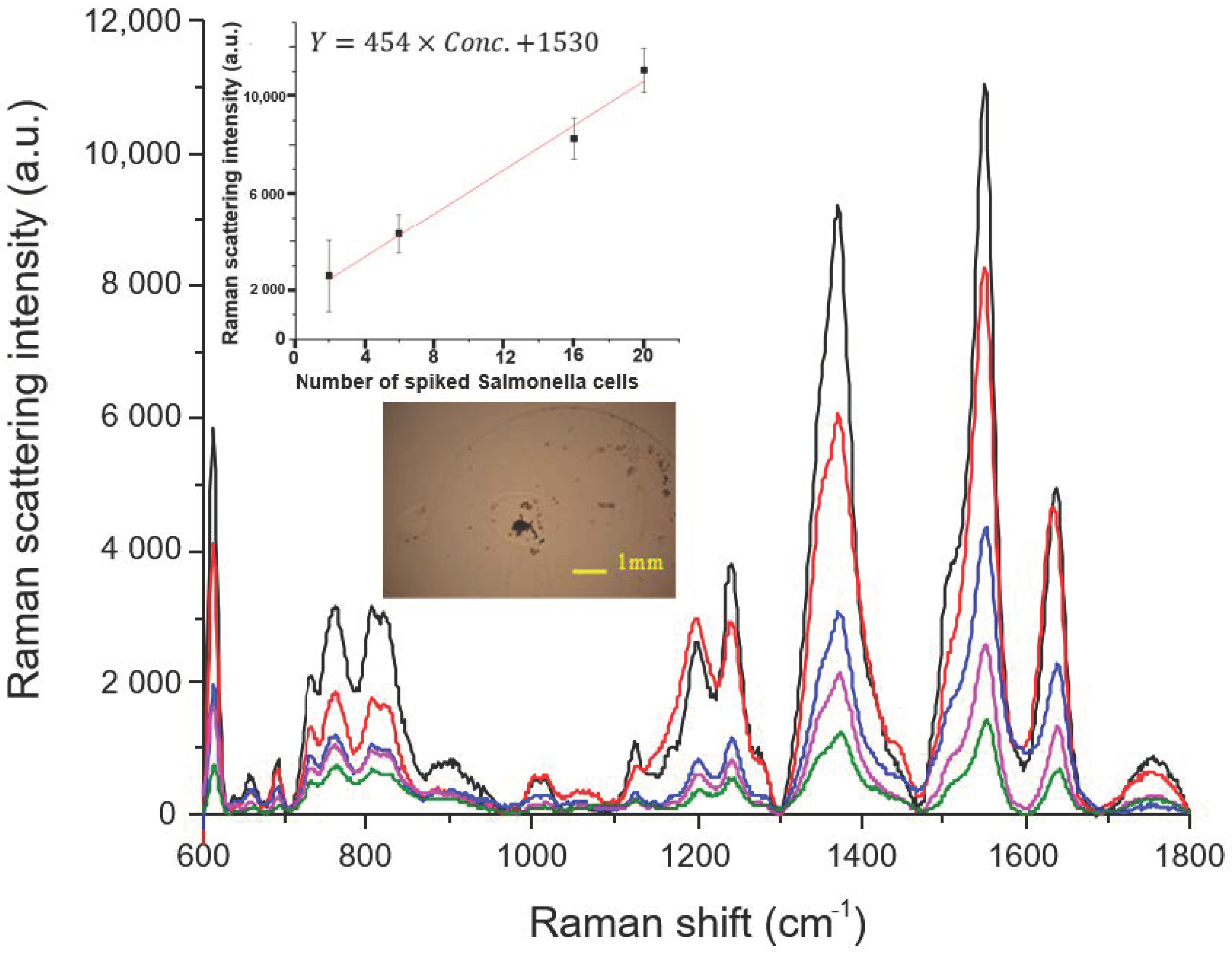 Sensors 20 07177 g003 Sensors 20 07177 g003