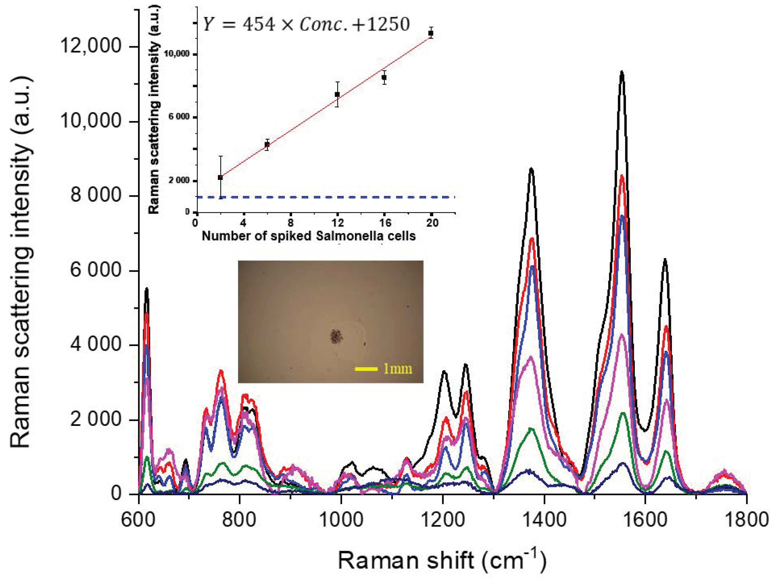 Sensors 20 07177 g004 Sensors 20 07177 g004