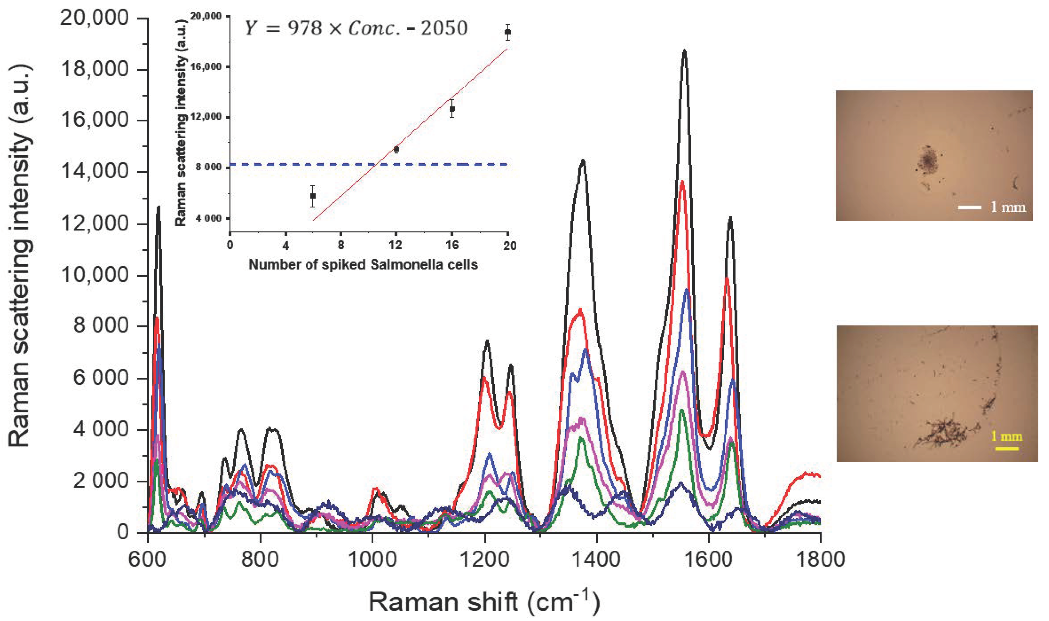 Sensors 20 07177 g005 Sensors 20 07177 g005