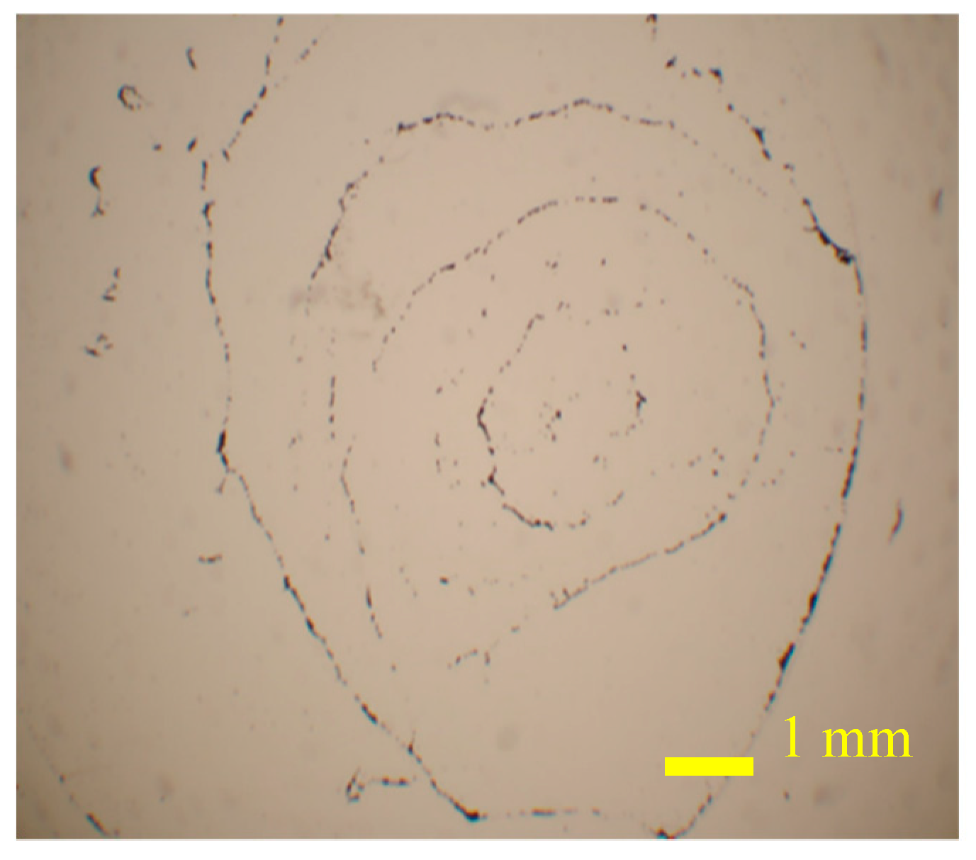 Sensors 20 07177 g0a1 Sensors 20 07177 g0a1
