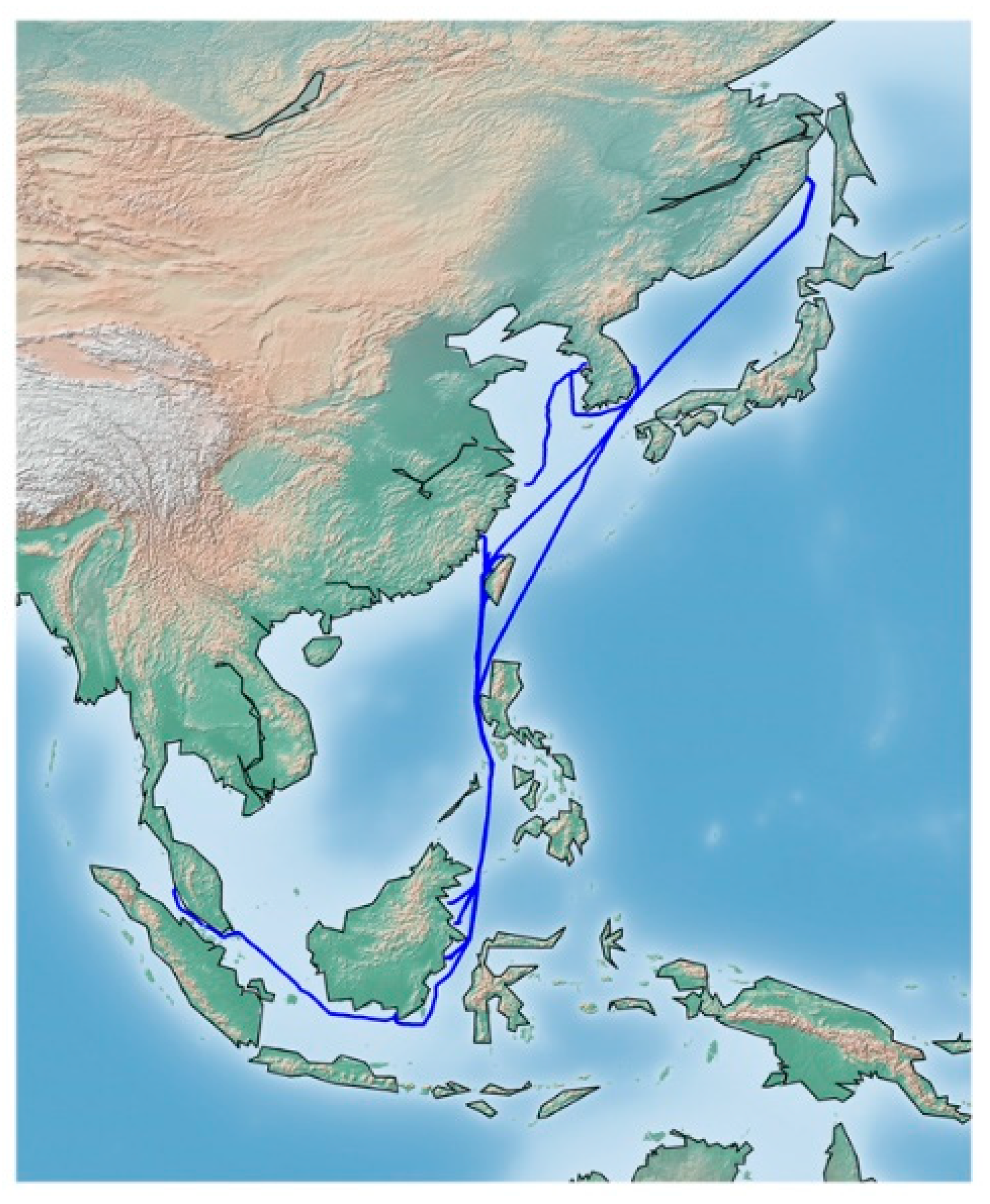 Sensors 20 07285 g001