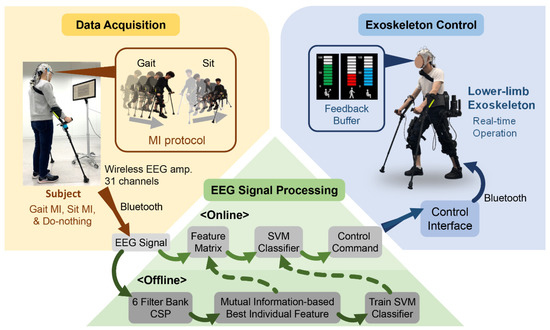 Sensors | Free Full-Text | Developing a Motor Imagery-Based Real-Time  Asynchronous Hybrid BCI Controller for a Lower-Limb Exoskeleton