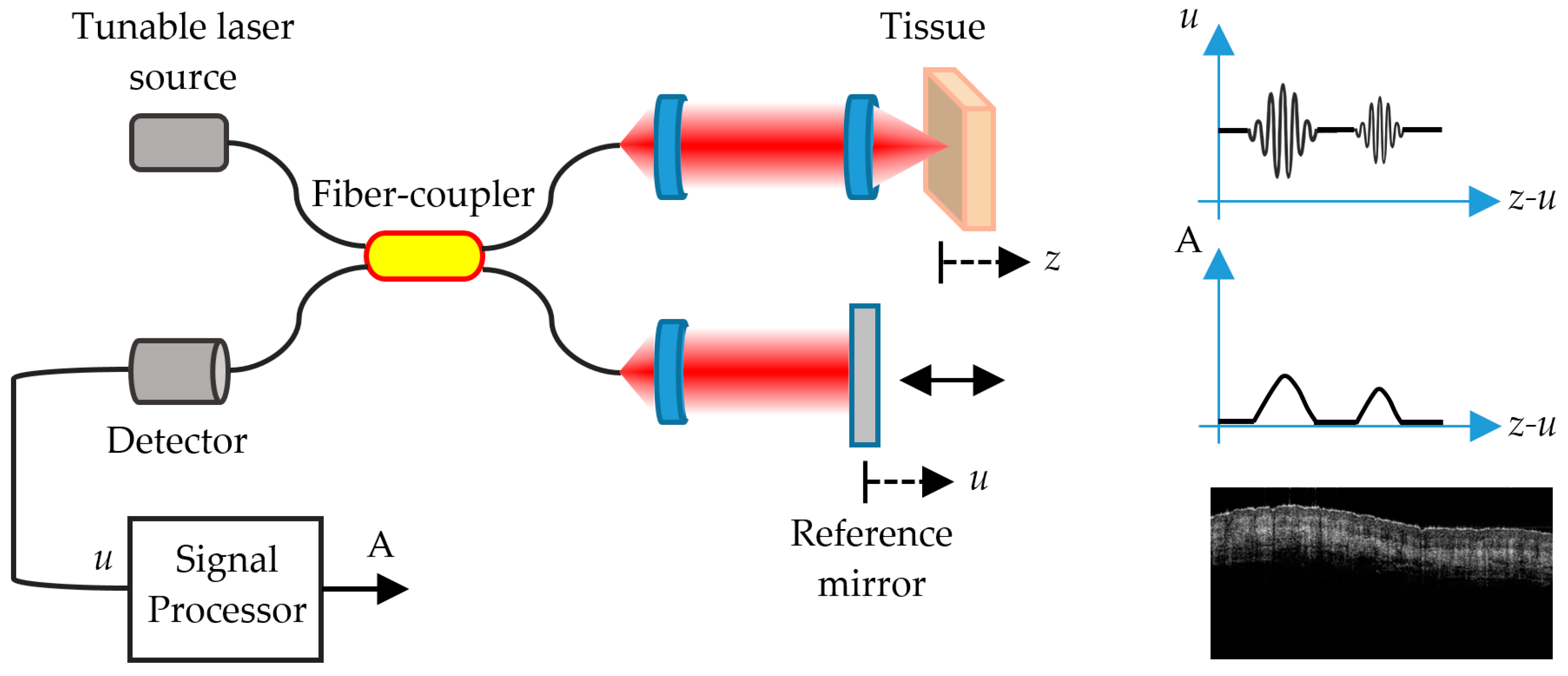 Sensors 21 00252 g004 Sensors 21 00252 g004
