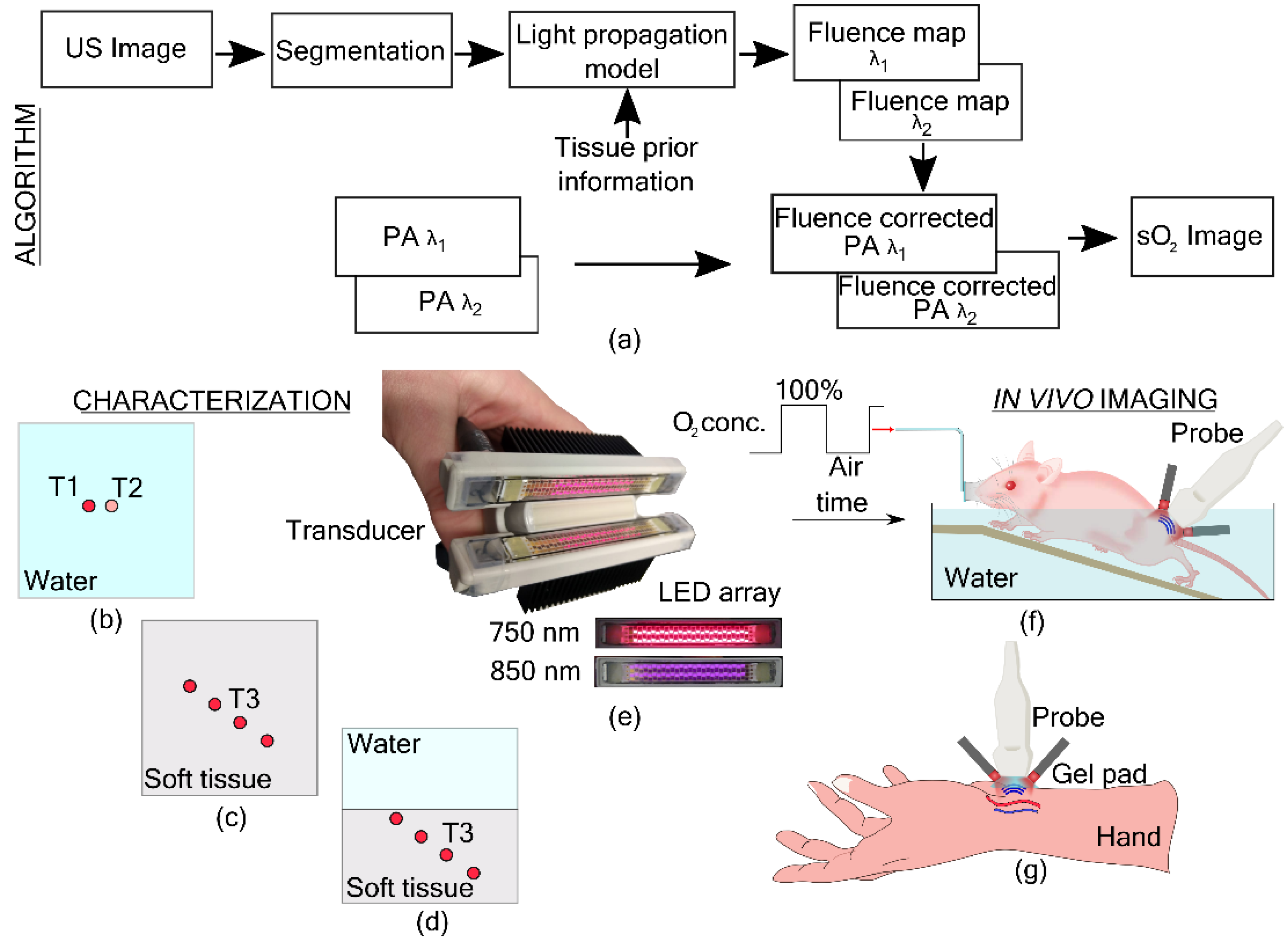 Sensors | Free Full-Text | Oxygen Saturation Imaging Using LED-Based  Photoacoustic System
