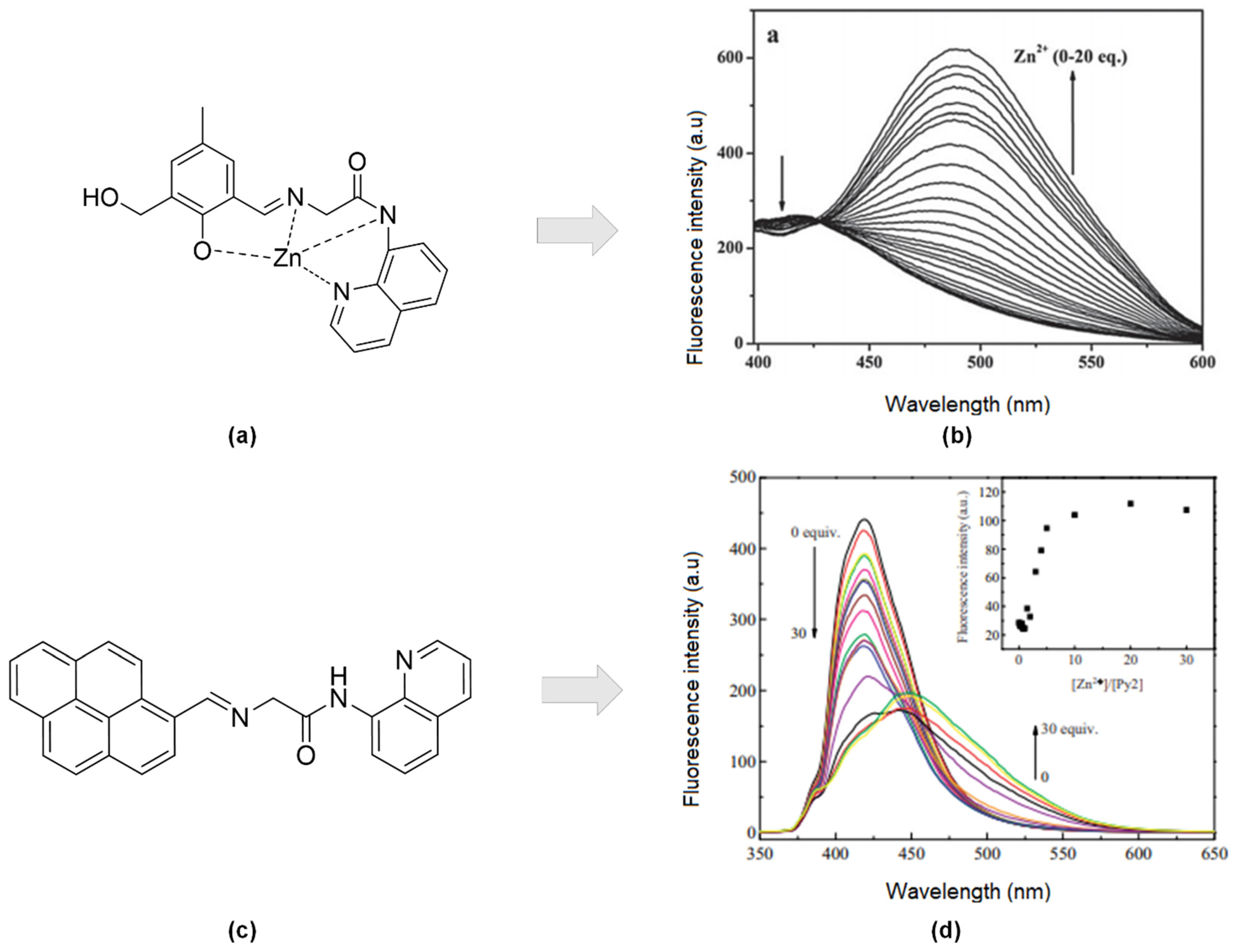 Sensors | Free Full-Text | The Role of 8-Amidoquinoline Derivatives as ...